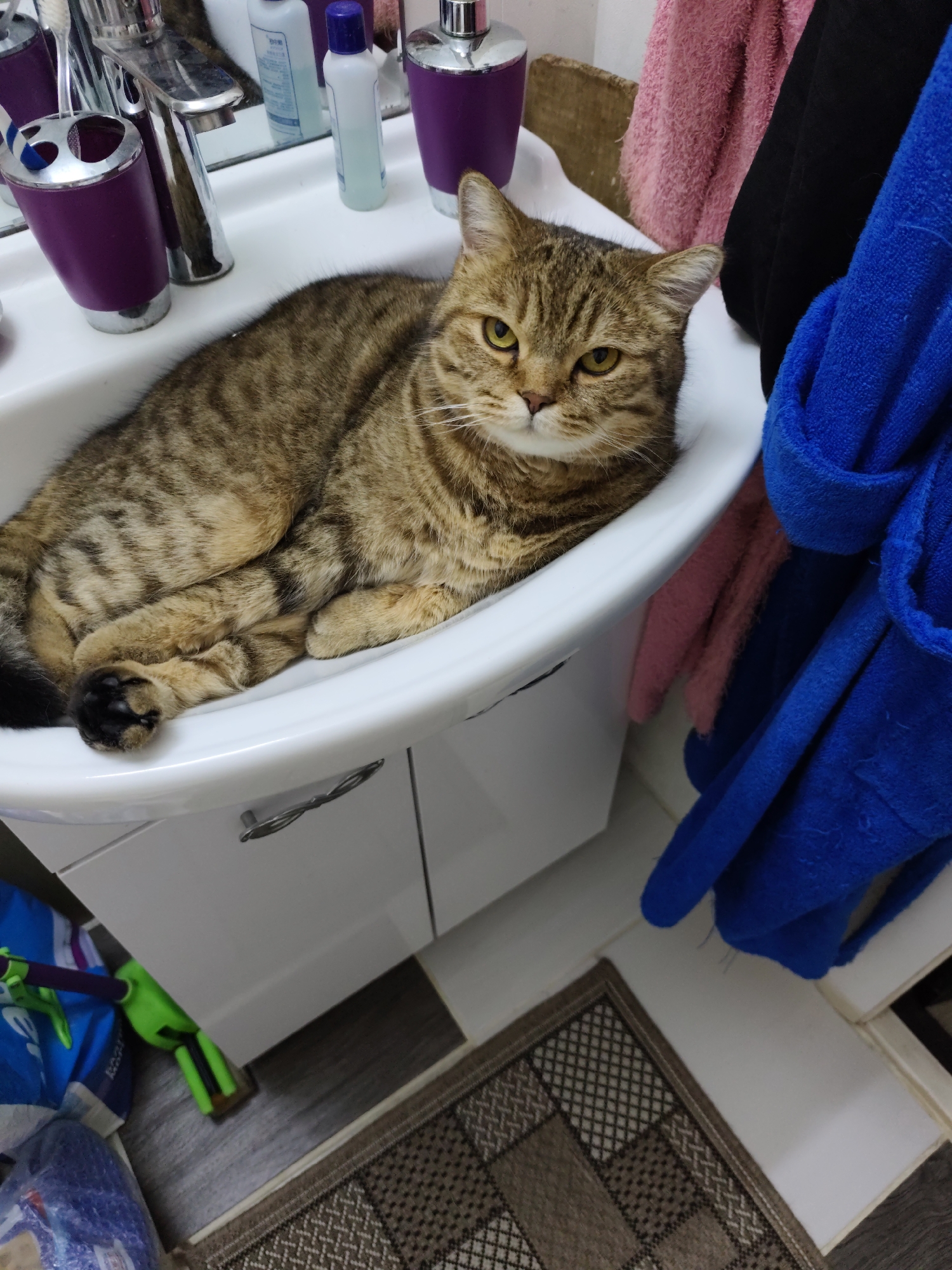 A tabby cat is lying in a white ceramic sink in a bathroom. The cat is curled up with its paws tucked underneath its body. Its fur is a mix of brown, black, and tan stripes. The cat has yellow eyes and is looking directly at the camera with a serious expression. The sink is a standard bathroom sink with a chrome faucet and a white ceramic basin. To the left of the sink, there is a toothbrush holder with toothbrushes and a bottle of mouthwash. To the right of the sink, there are several towels hanging, including a pink towel, a black towel, and a blue towel. The bathroom appears to be well-lit, with light coming from above. The floor is tiled with a patterned rug. The overall impression is one of a domestic scene, with a pet cat enjoying a comfortable spot in the bathroom. The scene is consistent with a bathroom in Komsomolsk-on-Amur, Russia, given the style of the fixtures and the presence of typical bathroom accessories.