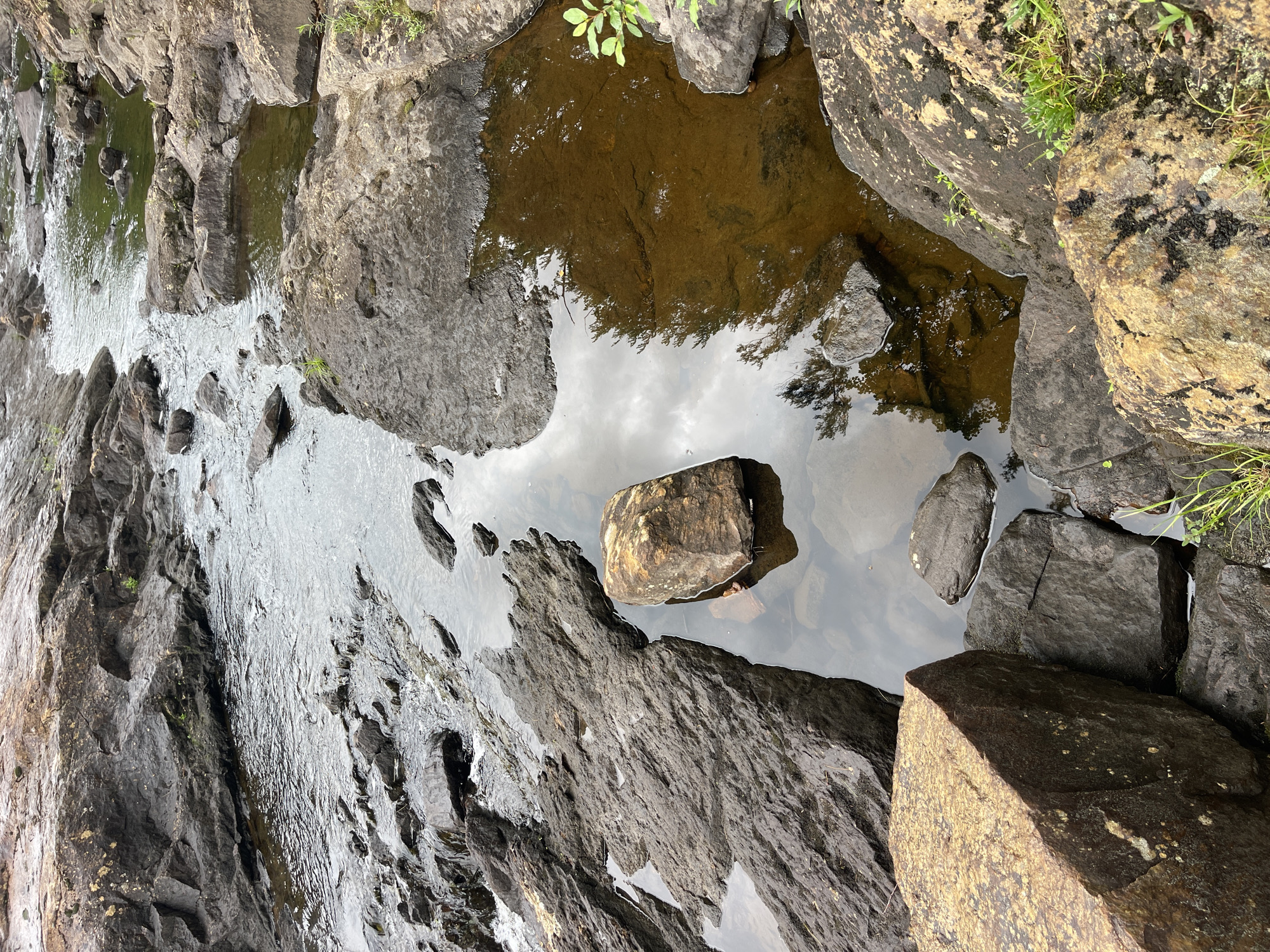 A natural scene in Village of Lyons Falls, United States of America, shows a rocky streambed with flowing water. The water is clear and reflects the sky and surrounding trees. Large, dark gray rocks are abundant, some submerged and others forming the banks of the stream. In the foreground, a large, tan-colored boulder is partially submerged in a pool of brown water. Further back, the stream widens and continues to flow over more rocks. Green grass and small plants are visible growing on the rocks in some areas. The overall impression is one of a natural, untouched outdoor environment.