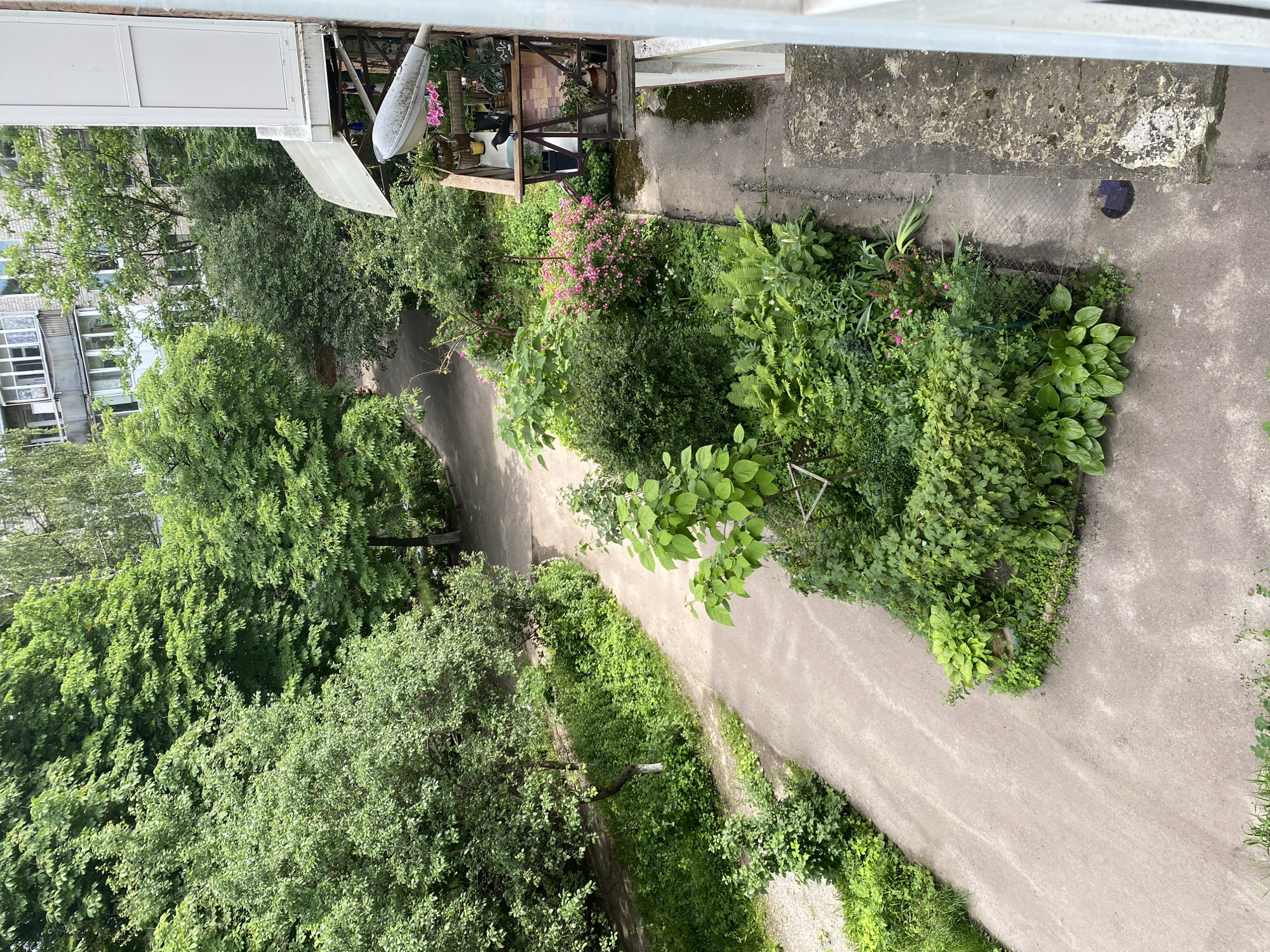 The image depicts a green courtyard with a paved pathway winding through it. Lush vegetation, including trees and shrubs, lines the pathway and surrounds the area. In the foreground, to the right, is a building with a balcony adorned with potted plants and a light fixture. A black bird is perched on the balcony railing. The scene appears to be a residential area in a city, characterized by the presence of buildings and manicured greenery. The lighting suggests it is daytime.