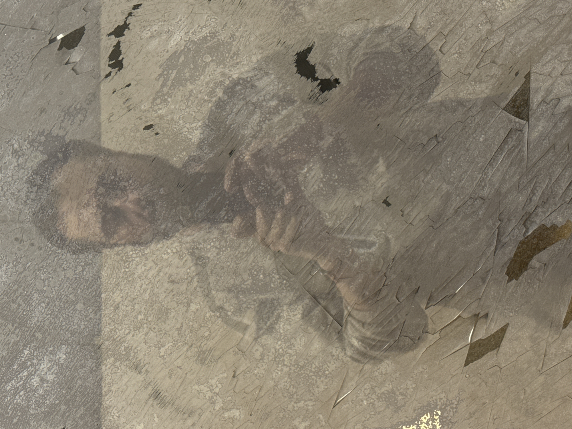 The image presents a highly distorted and faint reflection of a person overlaid on a textured, damaged surface, rendered primarily in muted tones of grey, beige, and brown.
The main subject is a person, whose reflection is visible through the obscuring surface. On the left side, parts of a face, including an ear, cheek, and jawline, are discernable. A hand or arm is also visible, suggesting the person might be holding a device, possibly taking a selfie, or simply being reflected. The reflection is very translucent and blends with the underlying texture.
The dominant feature of the image is the surface itself, which appears to be severely distressed and aged. It exhibits a complex pattern of cracks, peeling sections, and granular textures. Numerous jagged lines and geometric shapes, likely caused by peeling layers or broken material, are scattered across the surface. Darker, irregular patches suggest areas where material has completely come off, exposing a darker layer beneath, while lighter, mottled areas indicate raised textures or faded sections. The surface could be a weathered wall, a damaged window, or a peeling painted or laminated material.
No specific activity beyond the presence of a reflected person is clearly depicted. The lighting is diffuse, and no distinct shadows or light sources provide cues about the time of day. No emotions are discernible from the obscured reflection. There is no visible text in the image. While the provided context states Moscow, Russia, no visual elements within the image itself confirm this location.
