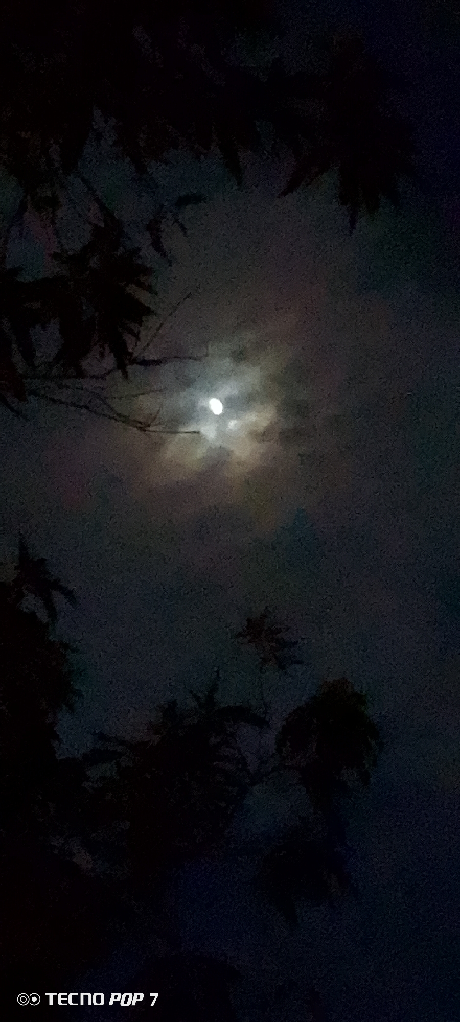 The image is a nighttime photograph of a cloudy sky with a bright moon visible. Silhouetted tree branches are in the foreground, obscuring parts of the sky. The bottom left corner of the image contains the text "TECNO POP 7" along with a logo, indicating the device used to capture the photo. The scene appears to be outdoors. The location in Altagracia, Venezuela is not discernible from the image itself.