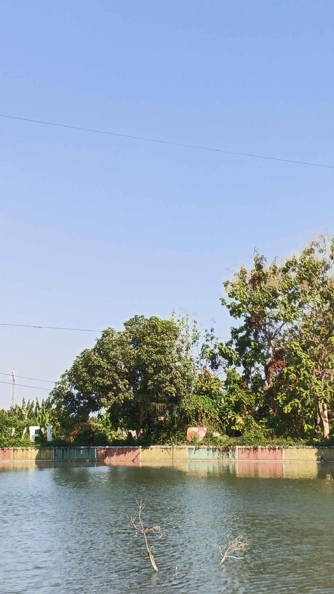 The image depicts a serene body of water with trees in the background, under a clear blue sky. The foreground shows the surface of the water, with some fallen branches visible. A decorative wall, painted in bands of red, green, and yellow, separates the water from the land. Behind the wall, lush green trees and foliage create a natural backdrop. In the distance, a cell tower is visible on the left, suggesting an urban or semi-urban environment. The scene appears to be a park or a public space, possibly in the city of Rengel, Indonesia, given its tropical vegetation and clear sky. There are no people or animals visible in the image. The lighting suggests it is daytime, with the sun casting a warm glow.