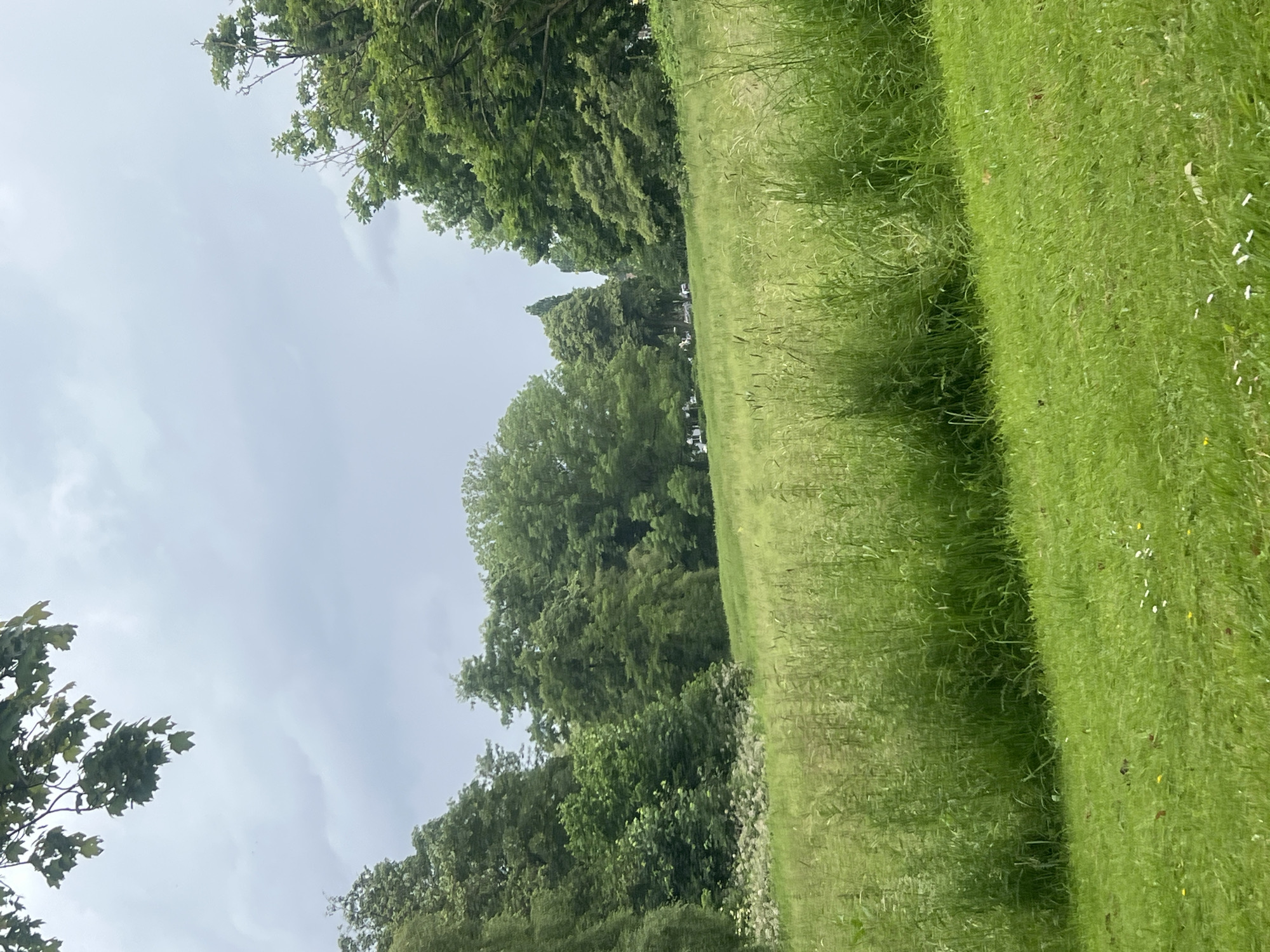 This media file presents a tranquil outdoor landscape, likely a park or expansive field, under an overcast sky in Herne, Germany.
The foreground and midground are dominated by lush, vibrant green grass. The grass exhibits varying textures and heights, with a noticeable distinction between a section of shorter, neatly mown turf and an adjacent area of taller, wilder grass, complete with visible seed heads. Scattered among the shorter grass are small white and yellow wildflowers, adding subtle bursts of color.
Along the horizon, a dense line of mature deciduous trees forms a verdant backdrop. These trees, featuring full canopies of diverse green hues, create a natural boundary, separating the open grassy area from the distant background. Faint outlines of structures or residential buildings can be vaguely discerned through or above the distant tree line, suggesting the proximity of a populated area.
The upper portion of the frame is filled with an expansive, uniformly light grey, cloudy sky. The complete overcast conditions result in diffused, soft lighting across the entire scene, without direct sunlight or prominent shadows.
There are no people, animals, or explicit activities taking place, contributing to the serene and untouched nature of the landscape. The scene appears to be set during daytime, indicated by the overall illumination, though the heavy cloud cover prevents specifying a precise time of day. No text is visible within the image. The overall impression is one of natural beauty and peacefulness.
