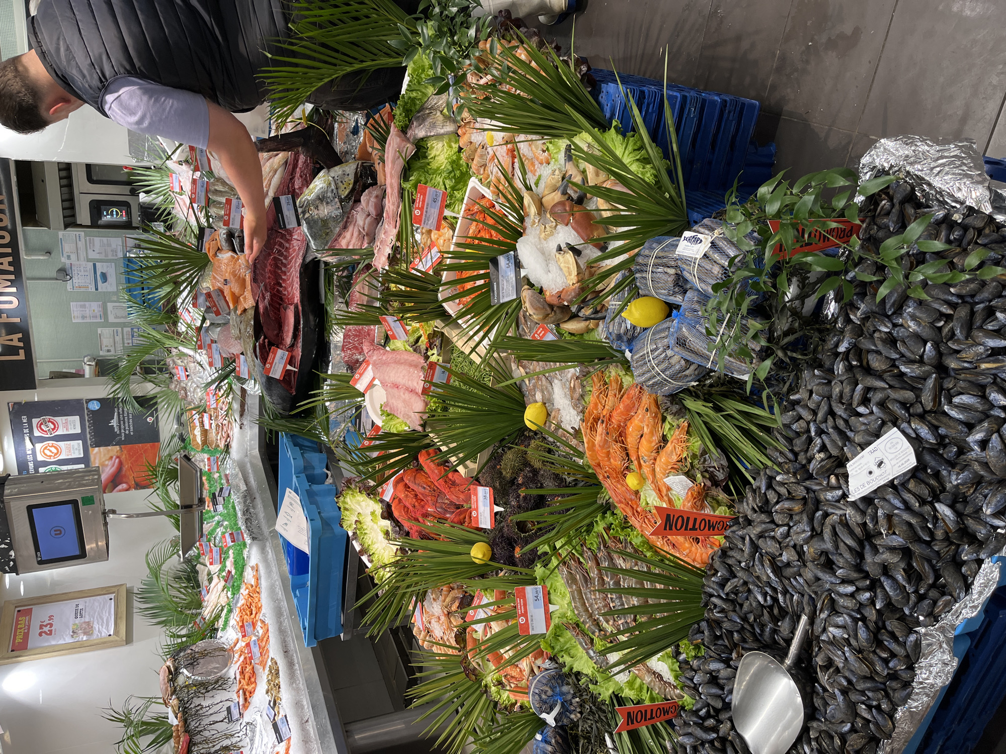 This is a detailed, forensic, matter-of-fact description of a fish market display, likely located in Le Port-Marly, France. **Scene Description:** The image depicts a vibrant and abundant seafood display in what appears to be a supermarket or specialized fish market. The display is arranged on a long counter covered in crushed ice, showcasing a wide variety of fresh seafood. **Seafood Display:** * **Mussels:** A large, prominent section in the foreground is filled with a vast quantity of dark-shelled mussels, some contained within blue plastic crates lined with aluminum foil. A metal scoop rests amongst the mussels, suggesting they are for sale by weight. * **Shrimp and Prawns:** Multiple piles of large, cooked shrimp and prawns are artfully arranged, interspersed with green lettuce leaves and decorative palm fronds. Some of these are accompanied by red promotional tags. * **Lobsters:** Several bright red lobsters are positioned prominently within the display, adding a splash of color. * **Crabs:** Crab claws and sections of crab are visible amongst other shellfish. * **Fish:** Various types of fish, some whole and others filleted, are displayed on ice. This includes large, dark red tuna steaks, lighter pink salmon fillets, and other unidentifiable fish species. * **Other Shellfish:** Small, dark, spiky sea urchins are also part of the display, alongside what appear to be small oysters or clams. * **Garnishes and Decorations:** Green lettuce leaves, palm fronds, and a few lemons are used to enhance the presentation of the seafood. **People:** * A man, viewed from the back, is standing behind the counter and interacting with the seafood display. He is wearing a dark vest over a light purple t-shirt. His right hand is extended, seemingly inspecting or arranging the fish. * Another individual, mostly out of frame to the right, appears to be wearing a white uniform and blue boots, possibly a store employee. **Objects and Environment:** * **Scales and Pricing:** A digital scale with a screen is mounted above the counter, suggesting items are weighed and priced on-site. Several red and white price tags are visible throughout the display, some with French text and prices (e.g., "23.99", "54,99€", "45,99€"). * **Blue Crates:** Blue plastic crates are used to hold some of the seafood and as part of the display structure. * **Signage:** Promotional signs with French text and graphics are displayed above the counter, including one referencing "LA FUMAI" and another with a "PRIX BAS DE