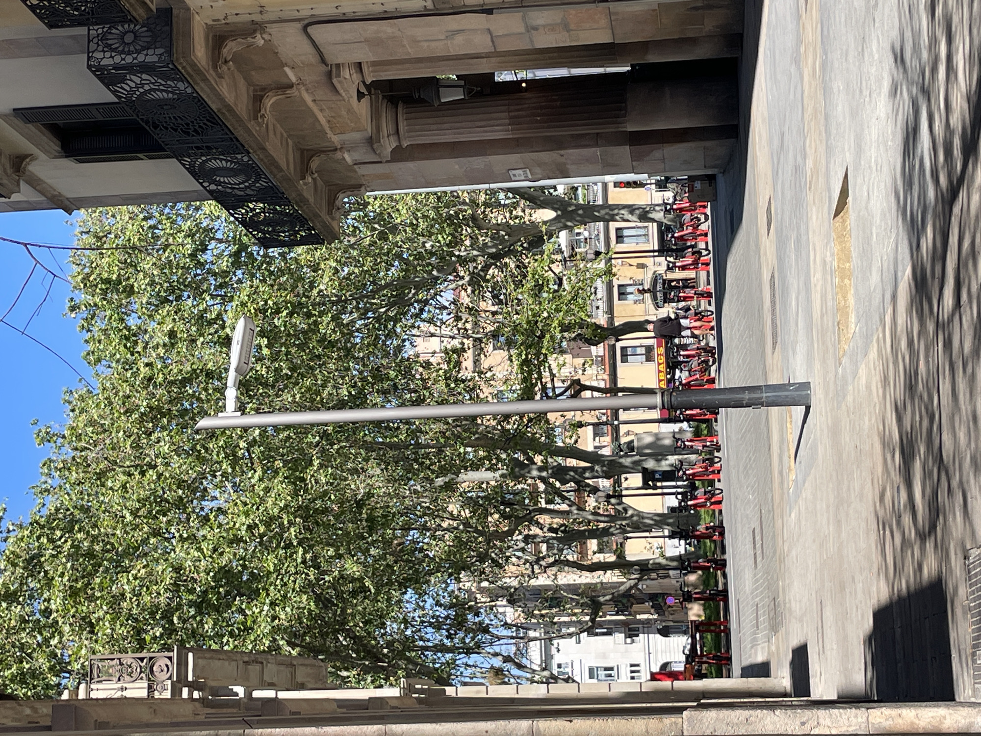 The image captures a sunny urban street or plaza in Barcelona, Spain, under a clear blue sky. A tall, light-grey lamppost stands prominently in the mid-ground, slightly to the left of the center. To its left, a long row of red rental scooters or motorcycles is neatly parked along what appears to be a paved path or street.
Lush green trees with visible branches line the area behind the scooters and extend across the frame, casting dappled, intricate shadows onto the light-grey paved ground that dominates the right foreground and mid-ground.
On the left, a grand building with classic stone architecture is partially visible, featuring large columns and elaborate black metal grilles under an overhang. An ornate black street lamp is affixed to one of these columns. On the opposite side of the street, in the background, a series of multi-story buildings with windows and balconies can be seen, some displaying a yellowish facade. One sign on these buildings partially reads "BACS," and another appears to say "HOTEL CR..." though it is blurry.
A single person wearing a dark top is visible walking near the red scooters in the mid-ground. The bright sun creates sharp contrasts, indicating a late morning or early afternoon setting.