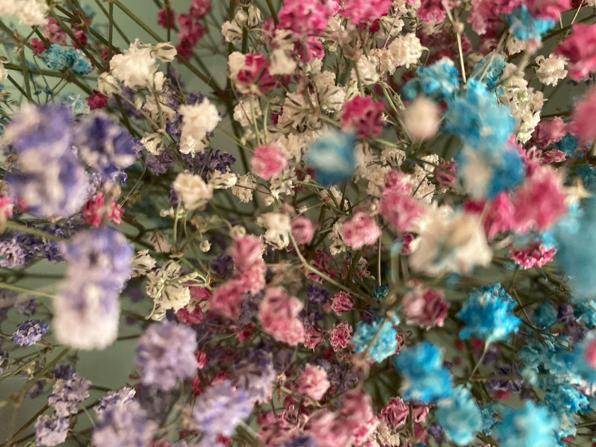 In the city of Unknown, Unknown, a close-up, top-down photograph captures a dense cluster of small, dried flowers, likely *Gypsophila paniculata* (baby's breath), arranged against a muted greenish-blue background. The flowers display a diverse palette of colors, including various shades of light purple, vibrant pink (ranging from soft to fuchsia), white, and striking bright turquoise. Thin green stems are visible, intertwining throughout the floral mass. The depth of field is shallow, rendering many blossoms softly out of focus, creating a textured and diffuse aesthetic, while other individual flowers are depicted with slightly sharper detail. No human subjects are present, and no actions or interactions are occurring within this static, indoor decorative scene.