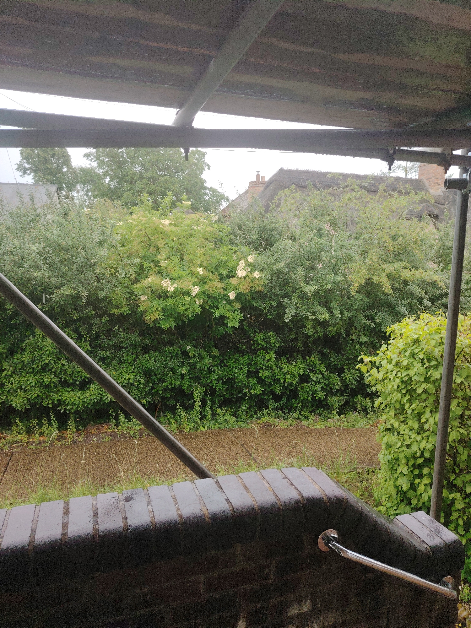 The image shows a view from under a temporary shelter, possibly scaffolding or a covered walkway. In the foreground, a dark brick wall with a metal handrail is visible. Beyond the wall, there is a concrete path with some grass growing on it. Further in the background, a dense line of green trees and bushes creates a natural barrier. Above the trees, a thatched roof with a chimney is visible, indicating a dwelling. The sky is overcast, suggesting a cloudy or rainy day. The location is identified as Huntingdonshire, United Kingdom.