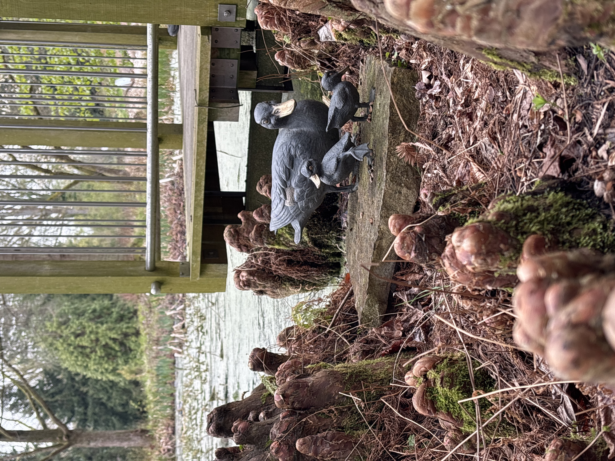A statue of a duck with two ducklings sits on a stone ledge near a body of water. A wooden railing is visible to the left, possibly part of a bridge or viewing platform. The base of the ledge is covered in what appears to be tree roots with moss and fungus growth. Debris such as leaves and twigs surround the duck statue.