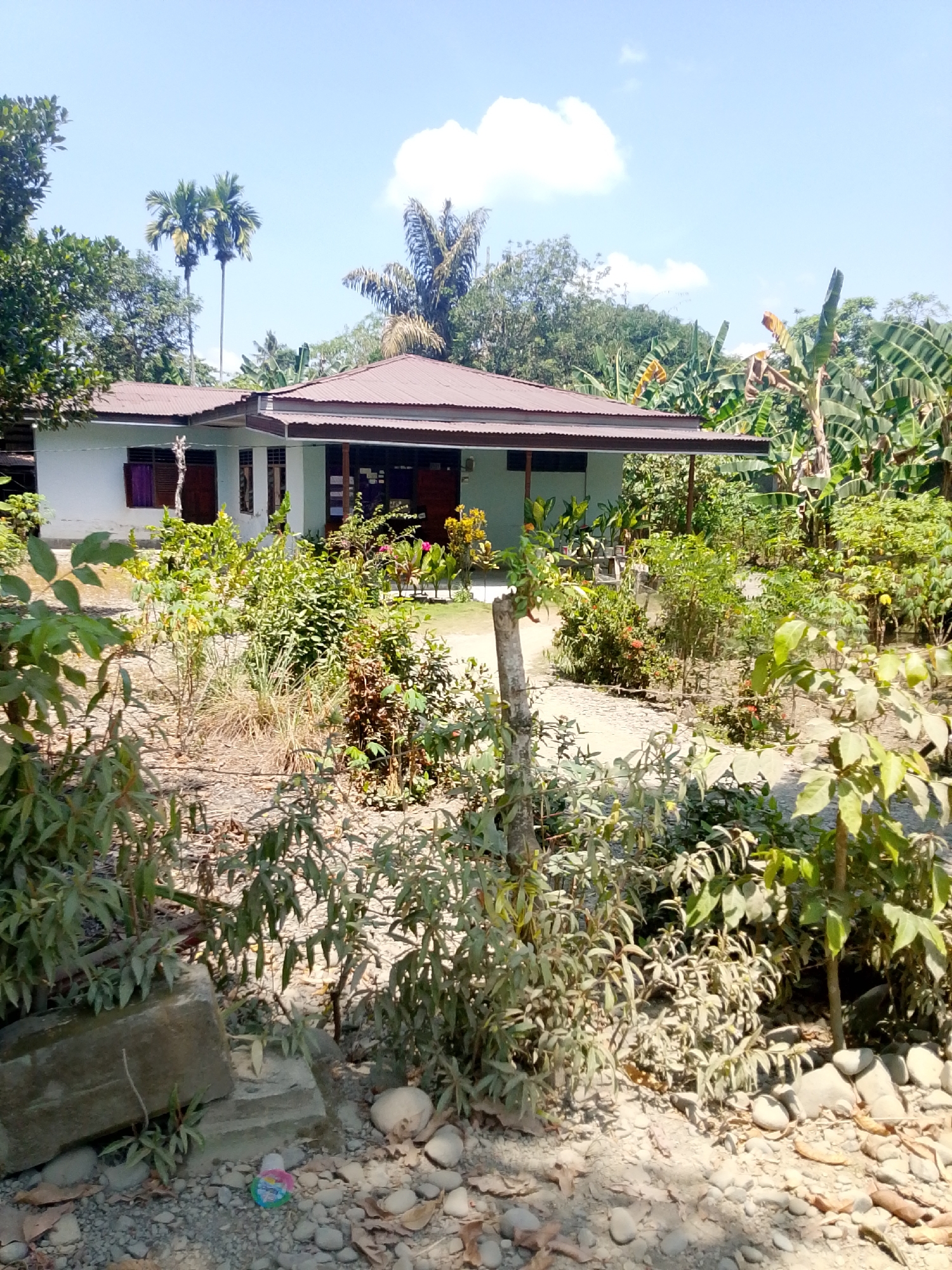 The image depicts a residential scene in Se'pon, Indonesia. A light-colored, single-story house with a brown corrugated metal roof is visible. The house has several windows with dark wooden shutters and a covered porch area. Surrounding the house is a garden with various plants and trees, including palm trees and banana trees. The ground is covered with gravel and dry leaves, with some scattered rocks. In the foreground, there are several large rocks and dense vegetation. A thin wooden post stands in the middle of the pathway leading to the house. The sky is blue with a few white clouds. No people are visible in the image.