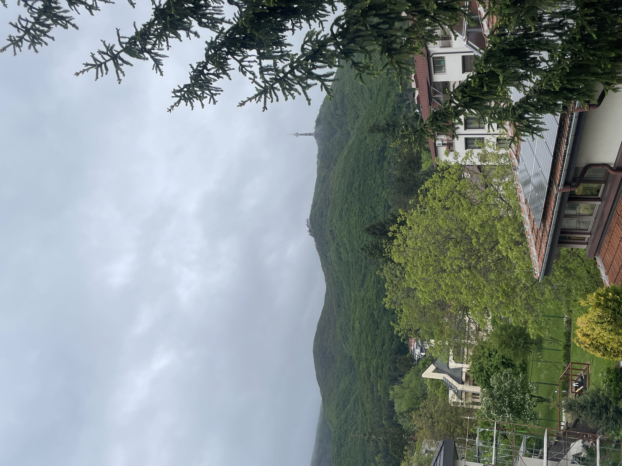 The image depicts a landscape with a prominent, green-covered mountain extending vertically from the bottom center towards the top center of the frame. A slender communication tower is faintly visible at the summit, partly obscured by mist. To the right of the mountain, a multistory white building with a tiled roof and solar panels is situated. Green trees are interspersed among the buildings and in the foreground. A grey, overcast sky occupies the left and top portions of the image. A tree branch is hanging from the top left corner. The location appears to be near a wooded area, possibly a mountainous region in a city. The city name is Unknown, Unknown.