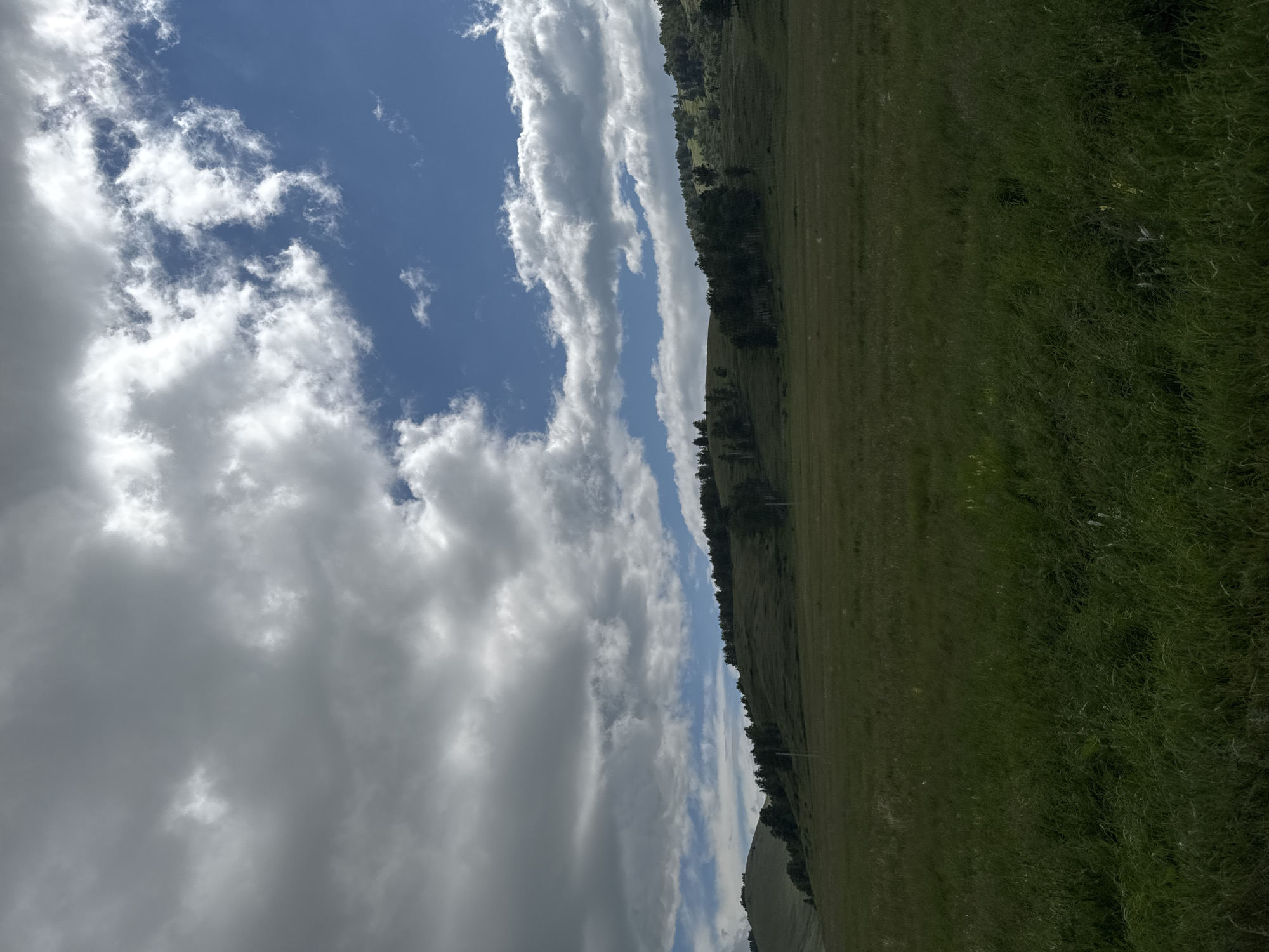 The image depicts a pastoral landscape with rolling hills covered in green grass and scattered trees. The sky is partly cloudy, with dramatic grey and white clouds interspersed with patches of blue. In the foreground, tall green grass is visible, suggesting a rural or undeveloped area. The background shows a treeline along the crest of the hills. There are no people or specific man-made structures clearly visible that would indicate a specific location within the city of Uralsk, Russia, or any urban setting. The scene is natural and appears to be an outdoor environment.