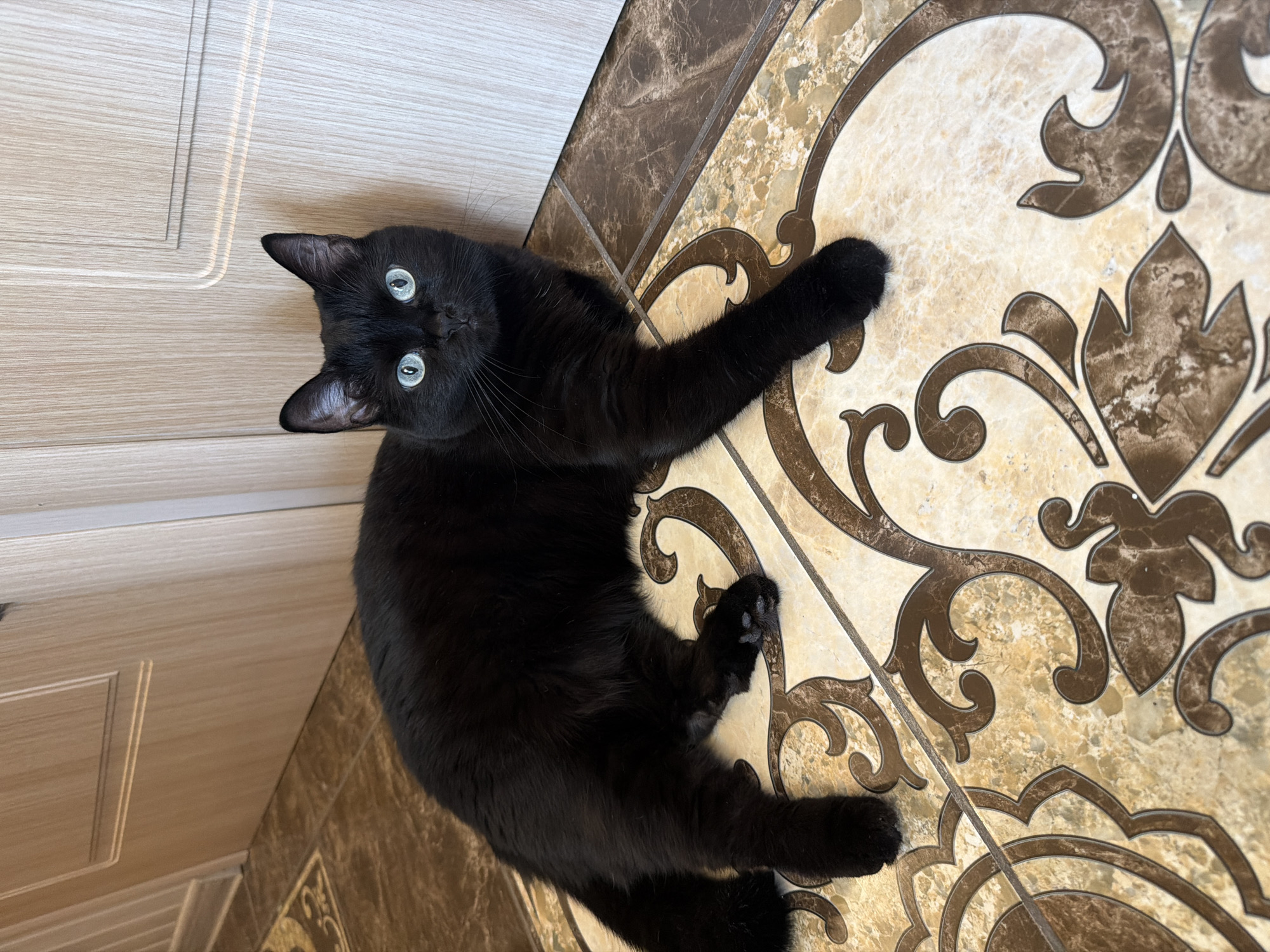 A black cat with striking green eyes is lying on a decorative tiled floor next to a light-colored wooden door. The cat is in a relaxed pose, with its body stretched out and one paw extended. The floor tiles have an intricate pattern of beige and brown swirls. The door appears to be a standard interior door, with vertical paneling. The scene is lit by overhead lighting, casting subtle shadows. There is no indication of the location being in Novosibirsk, Russia.