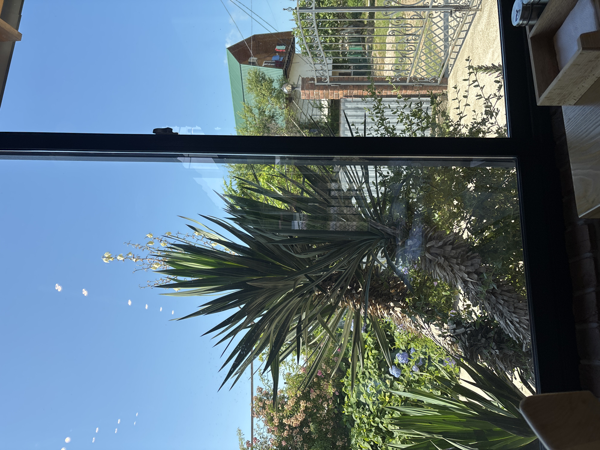 The image shows a view through a window overlooking a garden and a street in Ldzaa, Abkhazia. In the foreground, a large yucca plant with long, spiky leaves dominates the view, with its trunk bending sharply. Behind the yucca, lush green foliage, pink roses, and blue hydrangeas are visible. To the right, a decorative metal gate and a brick pillar with a lamp stand beside a pathway. Beyond the gate, a house with a green roof and brick facade is visible, with laundry hanging on a balcony. The sky is clear blue with a few scattered white specks, possibly reflections on the window. Inside the window frame, the edge of a wooden table and a wooden napkin holder with a white napkin are visible.
