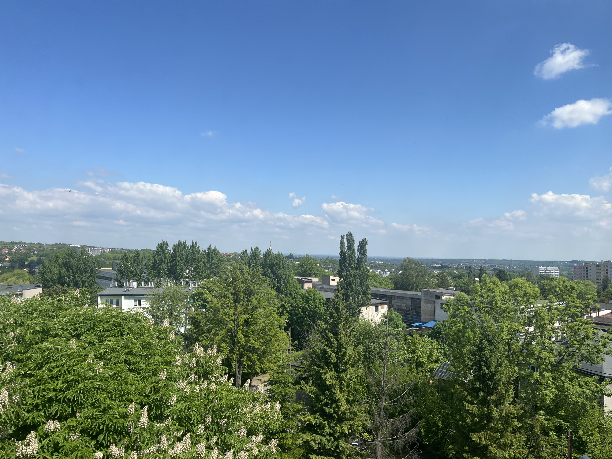 The image is a daytime, elevated outdoor shot of an urban landscape, likely taken from a high building. The sky occupies a significant portion of the frame, showcasing a clear blue color punctuated by scattered white clouds.
Below the sky, a dense mixture of greenery dominates the midground, featuring an array of trees with varying shades of green. Interspersed among the trees are glimpses of buildings with light-colored roofs and walls. In the foreground, flowering shrubs are visible, with clusters of white blossoms.
In the background, a cityscape stretches into the distance, showing a mix of residential and commercial buildings, with subtle variations in color and height. The overall perspective suggests a suburban setting with a combination of nature and built structures. The location in the city of Unknown, Unknown, cannot be determined with certainty from this image.
