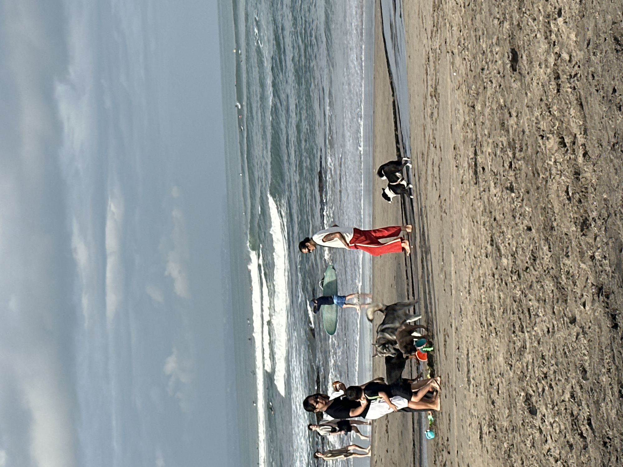 The image depicts a beach scene in North Kuta, Indonesia, under a cloudy sky. In the foreground, several people and dogs are present on the sandy beach. A woman in a black shirt and white pants, wearing sunglasses, is interacting with a young boy in a black shirt and shorts. Nearby, several dogs, including a husky-like dog and a smaller brown dog, are gathered. A black and white dog is seen running further down the beach. In the mid-ground, a man in a white shirt and red pants is standing, facing left. Another man is walking with a surfboard. Several other individuals are visible in the background, some walking along the shore and others in the ocean. The ocean has moderate waves, with several surfers in the distance. The overall atmosphere suggests a casual day at the beach with recreational activities involving people and their pets.