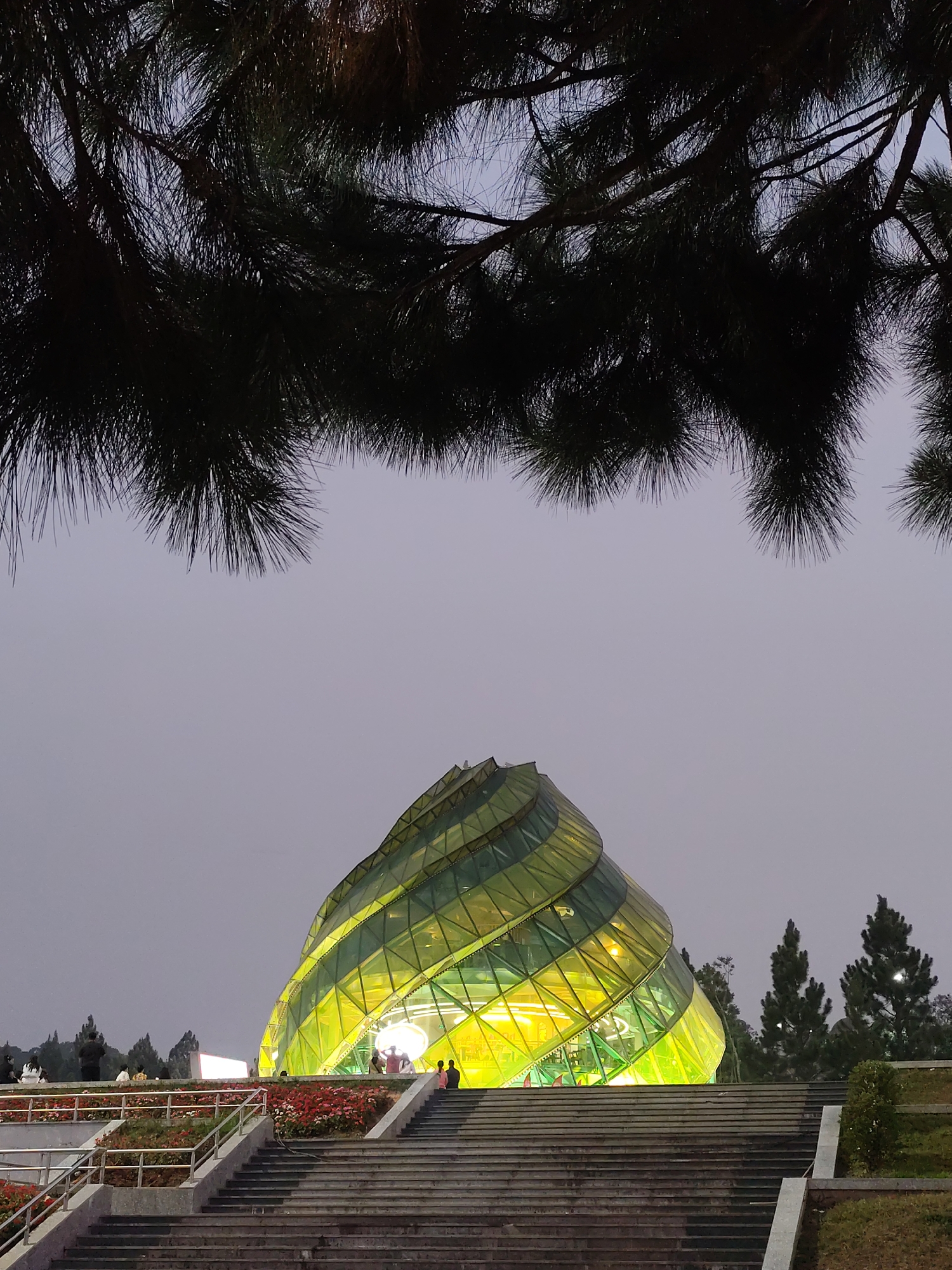 The image shows the Đà Lạt Market (Chợ Đà Lạt) in Da Lat, Vietnam, at dusk or dawn. The distinctive, tiered, glass-walled building with interior lights is the focal point. The structure is situated on a tiered platform accessed by wide concrete stairs. Rows of flowerbeds line the platform's edges. Silhouetted figures are visible inside the building and on the stairs. Overhanging branches of a coniferous tree partially frame the upper part of the image. The sky is a muted gray.