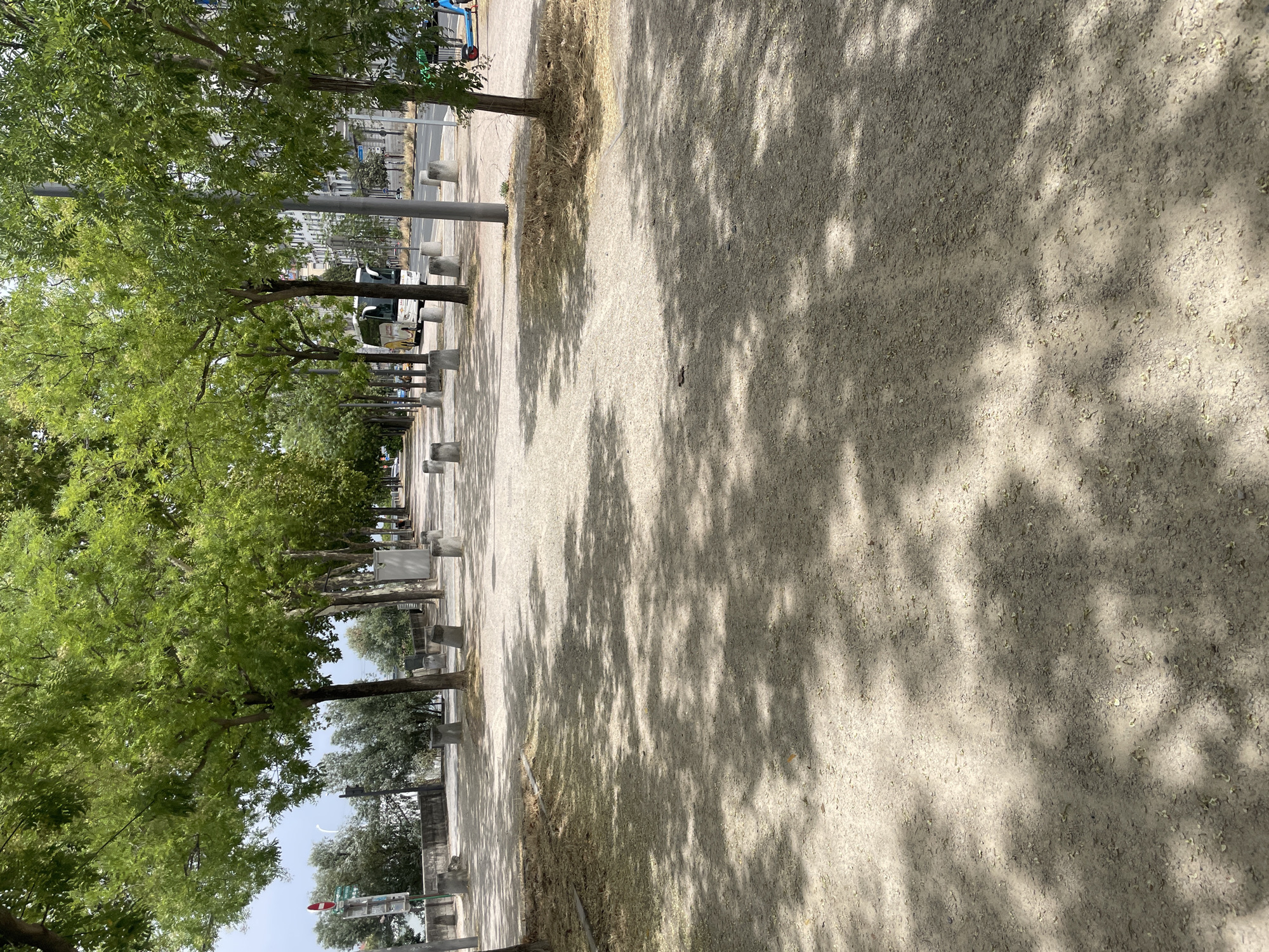 The image depicts a sun-dappled pathway lined with trees, running parallel to a street. A white and yellow bus is visible on the street, along with some buildings in the background. Several concrete bollards are placed along the edge of the pathway. In the far right, a blue kick scooter with a red wheel is parked. The ground of the pathway is covered in gravel and scattered leaves, with distinct shadows cast by the trees overhead. The scene is consistent with the banks of the Rhône River in Lyon, France, specifically the Quai de la Mulatière.