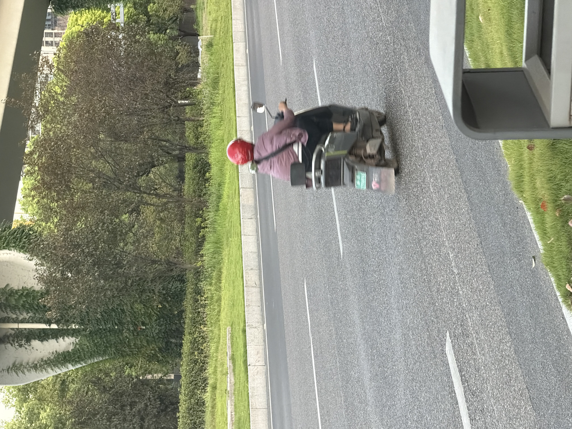 An overcast day in the city of Jiangjin, China, features a person riding a dark-colored electric scooter on a paved road with white lane markings. The rider, wearing a pink jacket and a red helmet, is facing away from the camera, with their left hand on the scooter's handlebar. The scooter has a black storage compartment and a license plate with Chinese characters. To the left of the road, a green, well-maintained grassy area with a concrete border separates the road from a densely vegetated area with trees and climbing vines. In the background, a large concrete structure, possibly a bridge support, is covered in vines, and more trees and buildings are visible. A grey public trash bin is partially visible in the foreground on the right side of the image.