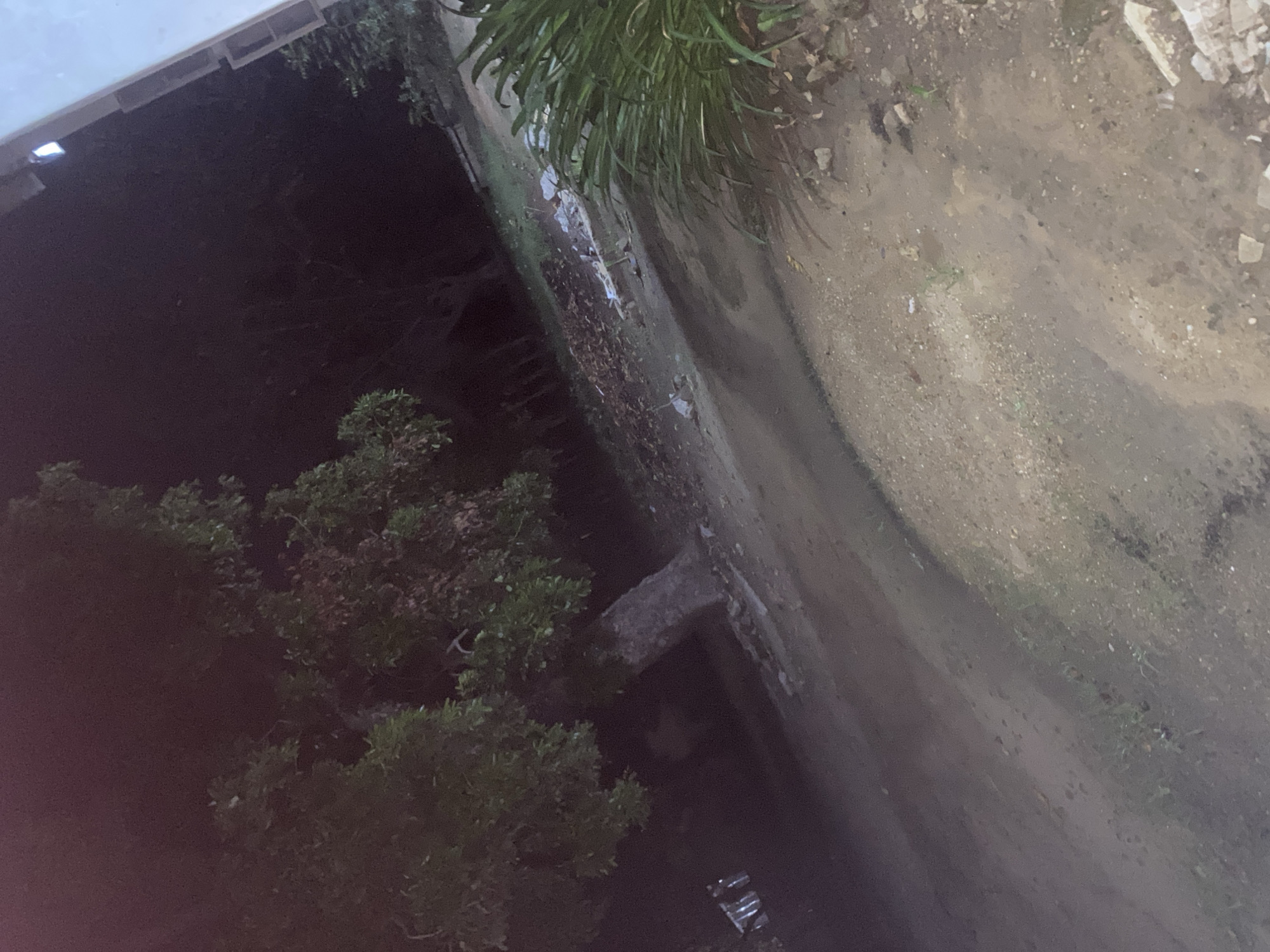 The image displays a dimly lit outdoor scene, likely captured at night or in very low light, from an elevated vantage point in Jama A, Nigeria.
The setting appears to be a rugged, unkempt area. On the right side of the frame, there is a substantial expanse of dirt ground, characterized by an uneven texture and scattered with small rocks and debris. Running diagonally across the middle of the image is a concrete wall or barrier, separating the dirt path from a lower, darker area to its left. Overhanging this concrete wall from the top-middle are dense green plants, suggesting overgrown vegetation.
A concrete slab or beam extends horizontally from the main concrete wall into the darker section on the left. This lower area is heavily shadowed and features lush green trees and shrubs, obscuring much of the ground beneath them. Near the bottom-left corner, several metallic items, possibly discarded cans or other litter, are visible amidst the darkness.
In the upper-left portion of the image, part of a building or structure with a light-colored fascia or overhang can be seen, along with a visible artificial light fixture, which provides the only clear illumination in the scene. No people are visible, and there is no discernible activity taking place. There is no visible text within the image.