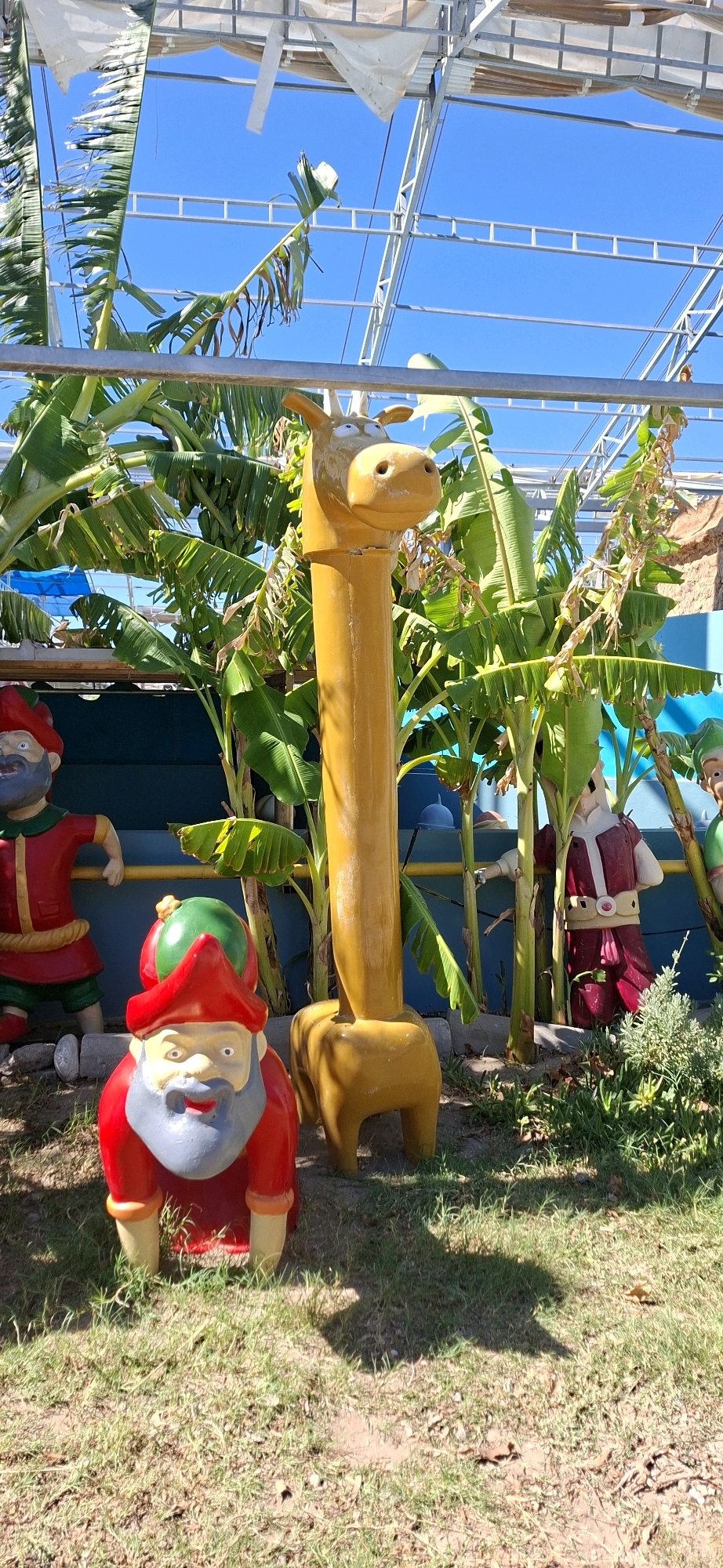 In the city of Kemer, Turkey, a yellow, giraffe-like sculpture stands in a garden area, flanked by banana trees. To the left of the giraffe, a gnome figure, adorned in a red hat and outfit, is positioned in a crouching stance. To the right, partially obscured by foliage, another figure, dressed in a maroon outfit, is visible. The scene is set under a clear blue sky, with a greenhouse-like structure overhead. The ground is covered in dry grass and soil.