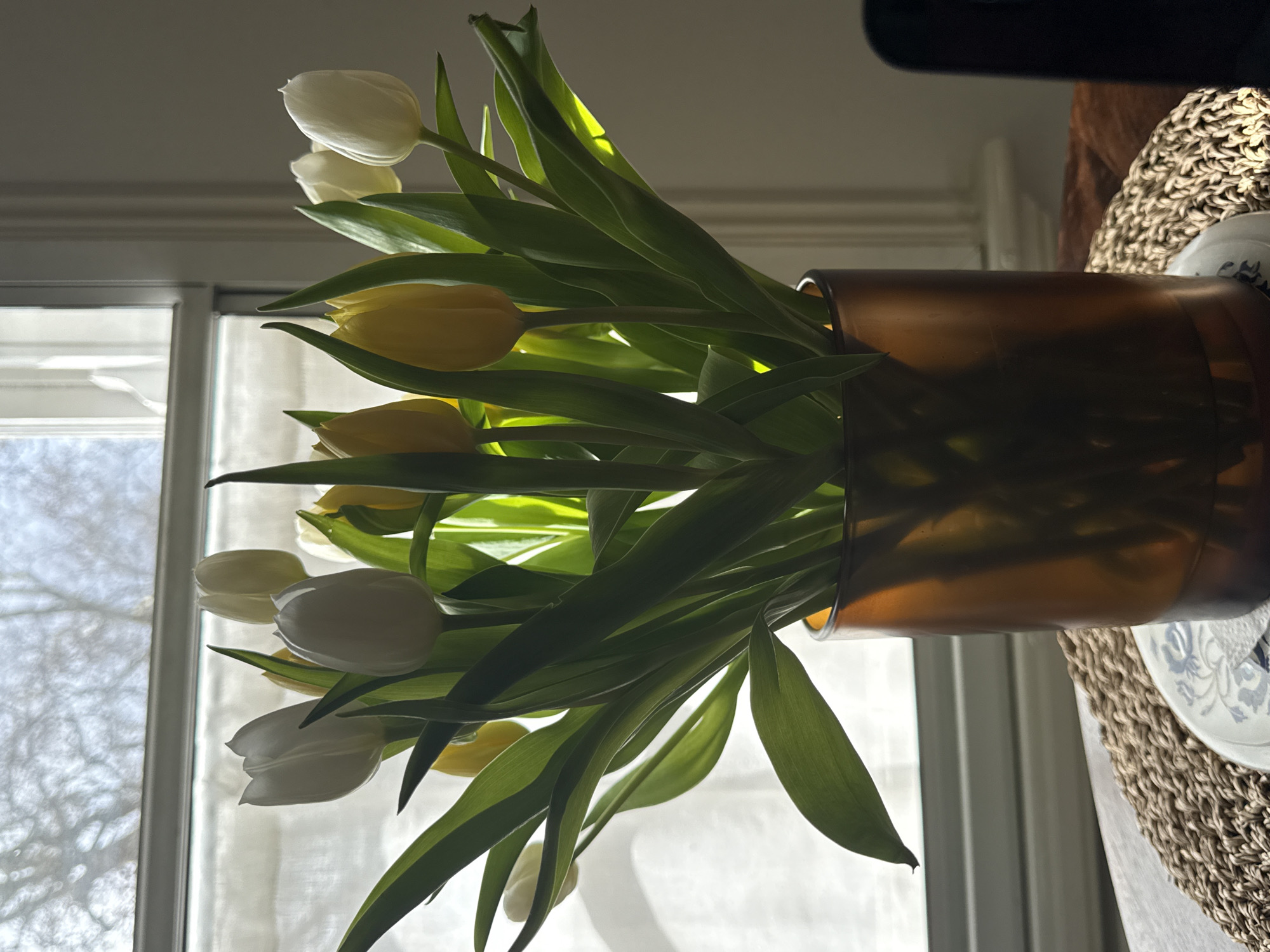 This image depicts an indoor scene in London, United Kingdom, featuring a bouquet of mixed white/cream and yellow tulips contained within an amber-colored, translucent cylindrical glass vase. The vase rests on a small, round, white ceramic plate with a blue floral pattern, which is positioned on a circular light brown woven mat atop a wooden surface, likely a table. In the background, a large multi-paned window with white frames dominates, fitted with translucent white curtains or sheers that diffuse natural light. Through the window, the faint silhouettes of bare tree branches against a bright, possibly overcast sky are visible. Strong backlighting from the window highlights the vibrant green leaves and flower petals, creating a partial silhouette of the vase and foreground objects. To the right of the window, a light-colored wall with architectural molding is visible, and an indistinct, dark object is present on the far right edge of the wooden surface. No individuals are present in the scene.