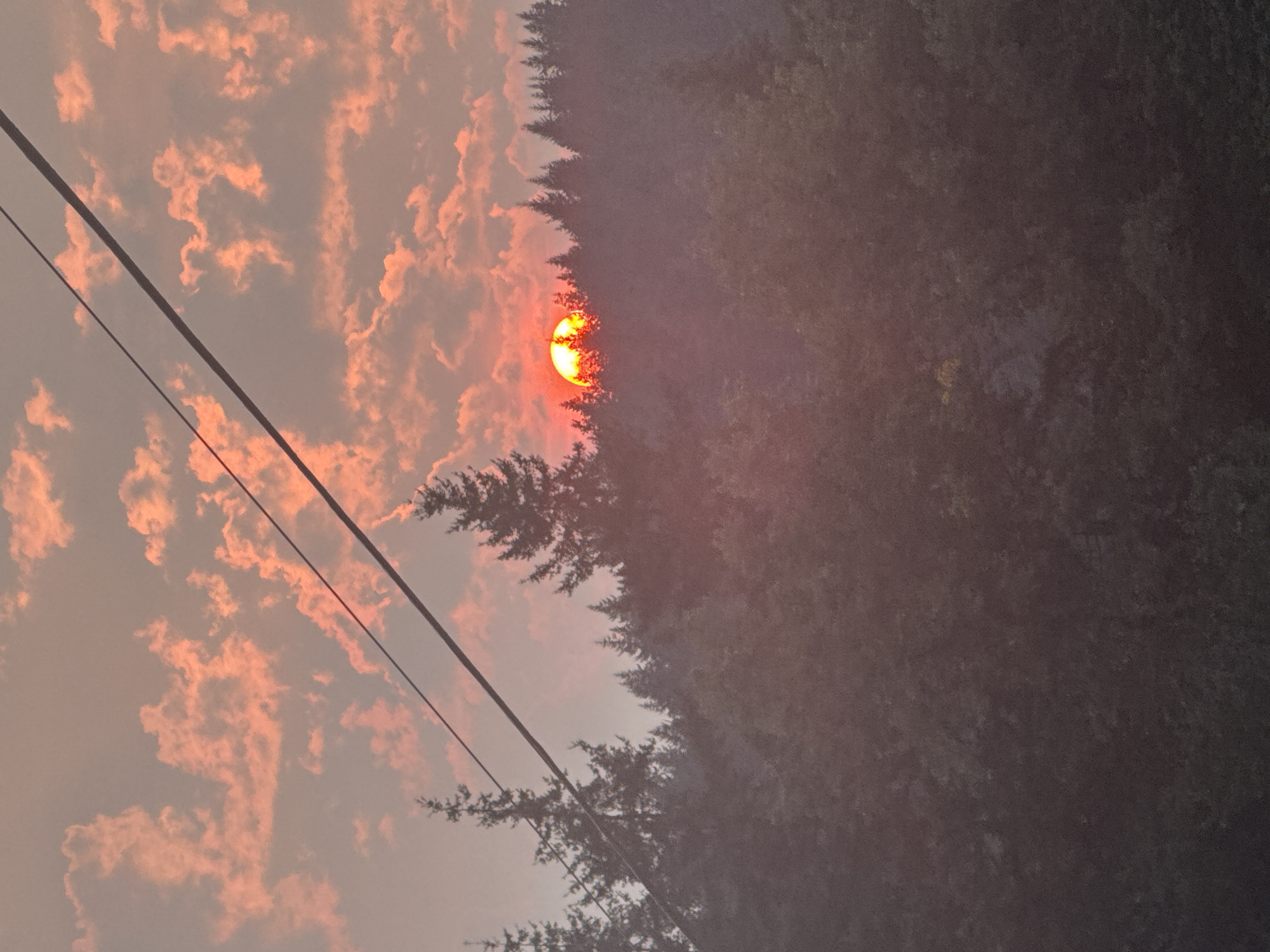 The image shows a sunset with a reddish-orange sun partially obscured by trees. The sky is filled with wispy clouds, also tinged with pink and orange hues, suggesting a hazy atmosphere. Two dark power lines stretch diagonally across the frame, in front of the sky and trees. The right side of the image is dominated by the dark silhouette of evergreen trees, which form a dense line against the lighter sky. The overall mood is somewhat somber and hazy, possibly due to smoke in the air, which often accompanies sunsets in the Pacific Northwest, especially during wildfire season. Given the location context of Coquitlam, Canada, it's plausible this image was taken during a time of year when wildfires are common, leading to diffused sunlight and vivid sunset colors. The time of day is clearly sunset. There is no visible text in the image.