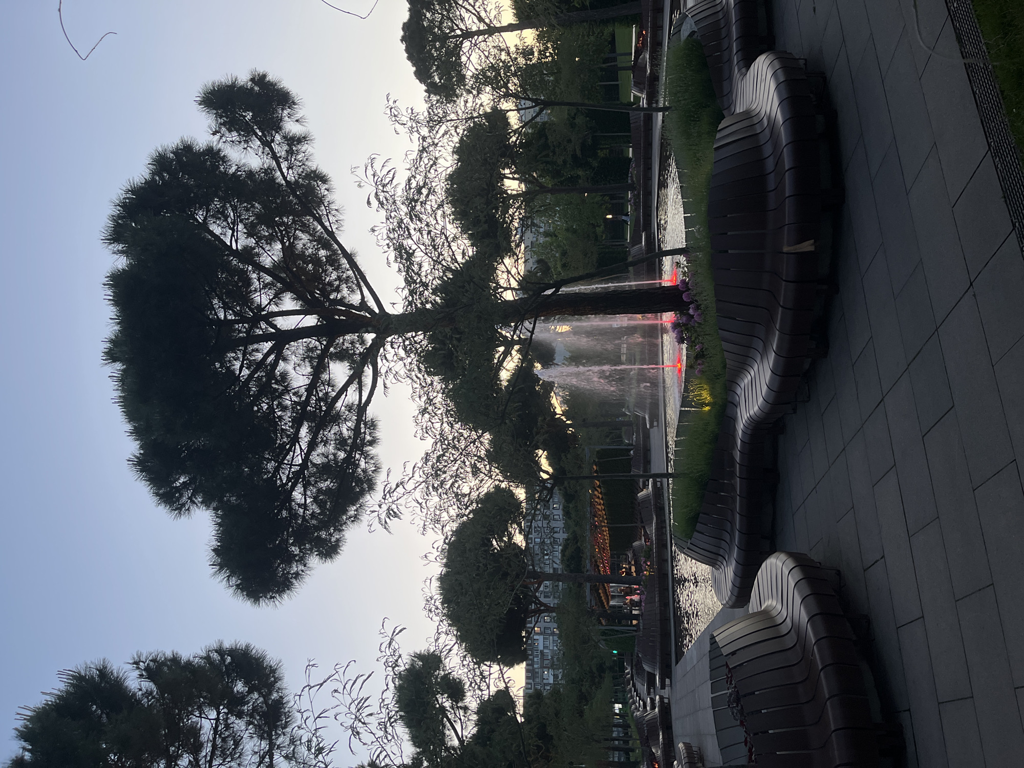 The image shows a park in Krasnodar, Russia, at dusk. A long, wavy wooden bench runs along the right side of the frame, bordering a stone-tiled pathway. To the left of the bench is a shallow water feature or pond with fountains illuminated by red lights. Trees of varying sizes and types line the water feature and the far side of the park, silhouetted against the evening sky. In the background, buildings can be seen between the trees. The scene is still and quiet, with no people visible in the immediate view.