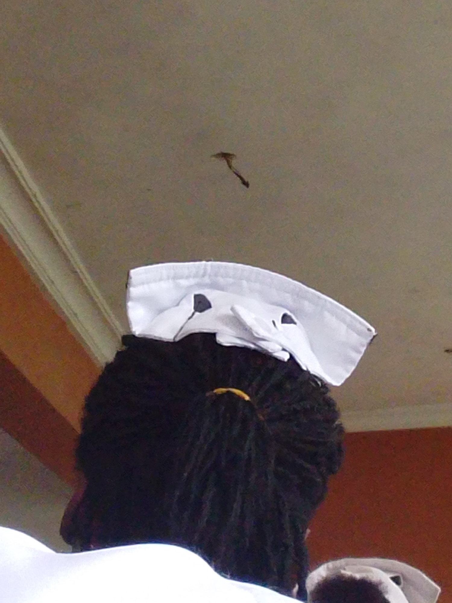 The image shows the back of a person's head, wearing a white nurse's cap and a white uniform. The person has dark, dreadlocked hair, with a yellow band visible around the nape of their neck. The nurse's cap has a dark patch on it, possibly representing eyes or a decorative element. The background is a plain, light-colored ceiling with some visible imperfections and a faint shadow of a small object, possibly a fly or a piece of debris, near the top center of the frame. The ceiling appears to be part of an indoor environment, possibly a room in Kuson, Nigeria. The overall lighting is somewhat dim, with a slight orange tint, suggesting artificial light or ambient conditions.