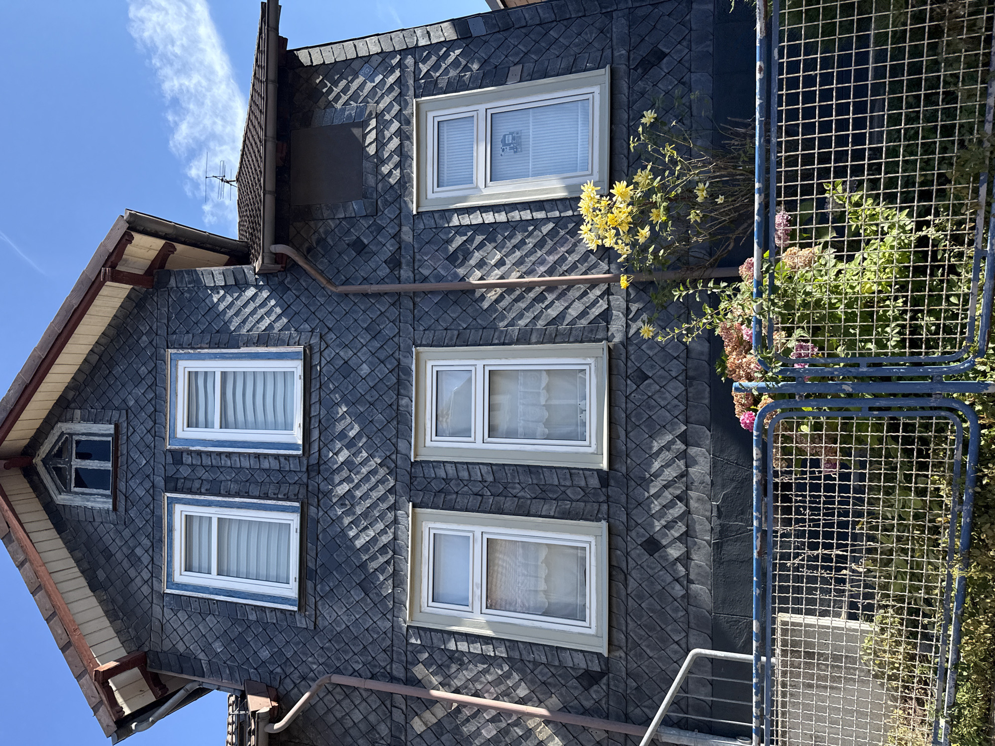 The photograph captures the exterior of a two-story building with a steeply pitched roof, clad in dark grey diamond-shaped tiles, consistent with the architectural style found in Bad Sachsa, Germany. The building features several windows with white frames; two on the upper level have blue trim, while the lower windows have light beige trim and are adorned with sheer white curtains. A small, triangular dormer window with a dark frame is visible in the gable. A metal fence, painted blue and showing signs of wear, runs across the foreground, partially obscuring a garden area with blooming yellow and pink flowers and green foliage. A metal railing is attached to the side of the building, leading to an unseen entrance. The sky is a clear blue with a few wispy clouds. The scene appears to be a residential property on a sunny day.