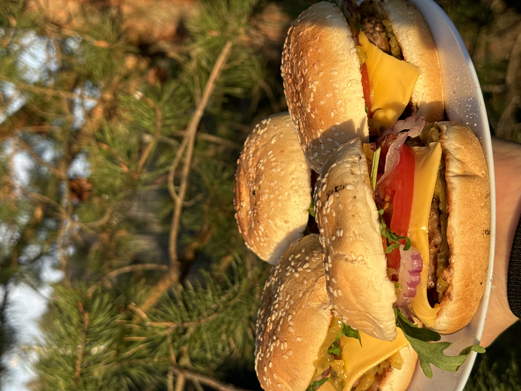 The image shows three hamburgers on a white plate held up outdoors, with a blurred background of evergreen tree branches. Each hamburger is on a sesame seed bun and appears to contain a meat patty, cheese, tomato, red onion, and green leafy vegetables. The scene is likely taken in a natural environment due to the background, although the exact location within Литвиново, Russia, cannot be determined from the provided visual information. There are no people visible aside from an arm and dark shirt sleeve holding the plate. The focus is on the hamburgers.
