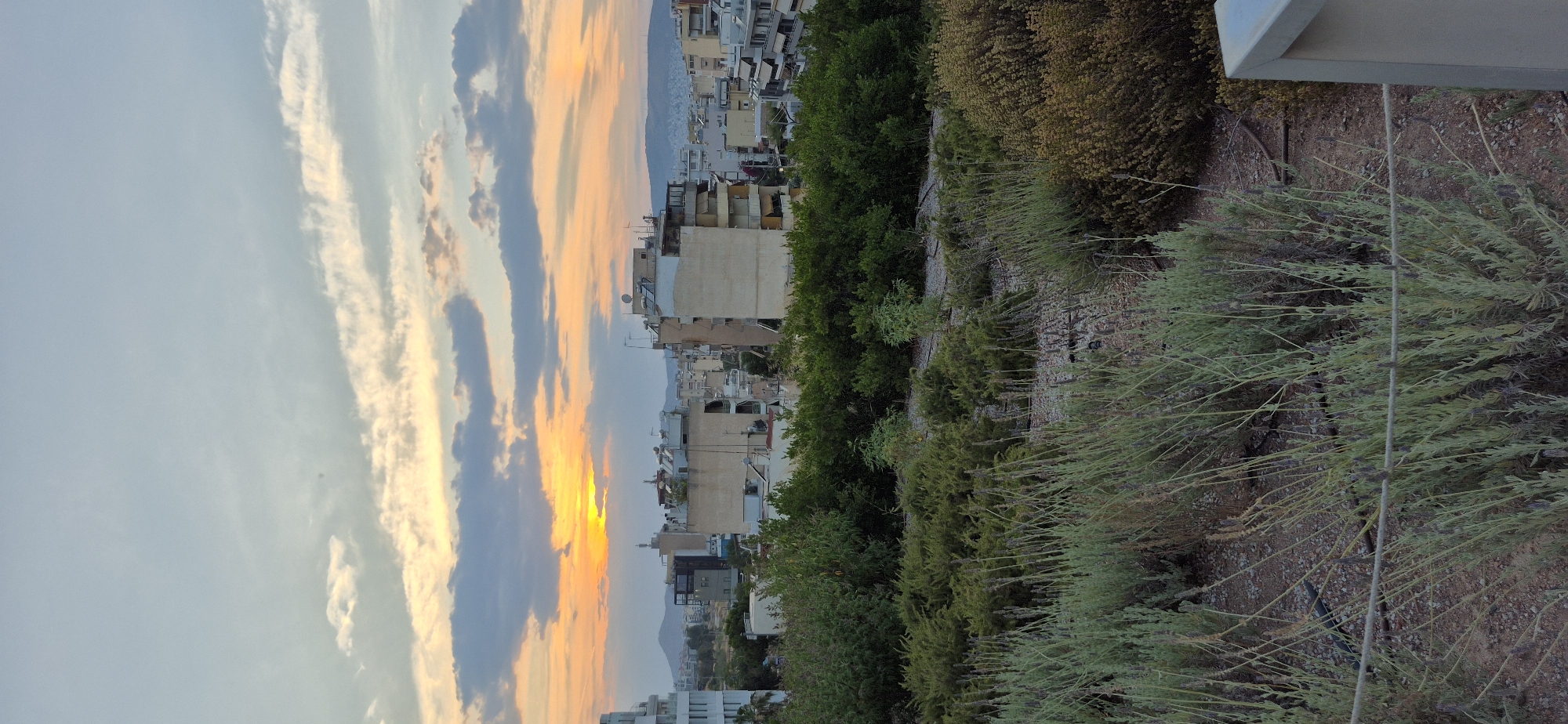 The image captures a sunset over the cityscape of Kallithea, Greece. In the foreground, there is a dense garden with various shrubs and plants, including what appears to be lavender, with thin, tall stalks. A thin wire or rope runs horizontally across the lower part of the frame, in front of the garden. Behind the garden, a line of lush green trees forms a distinct border.
Beyond the trees, a dense urban landscape unfolds, characterized by numerous multi-story buildings. The architecture suggests a mix of residential and commercial structures, with flat rooftops common. Many buildings display signs of age, with some showing peeling paint or weathered facades. Solar panels are visible on some rooftops.
The sky above the city is painted with the warm hues of sunset, with vibrant oranges and yellows emanating from the sun, which is partially obscured by clouds. The clouds are a mix of grays, whites, and yellows, creating a dramatic and colorful sky. In the distance, a range of hills or mountains forms a soft silhouette against the horizon. The overall impression is a view of an urban environment at dusk, with nature in the foreground and the city stretching towards the hills.