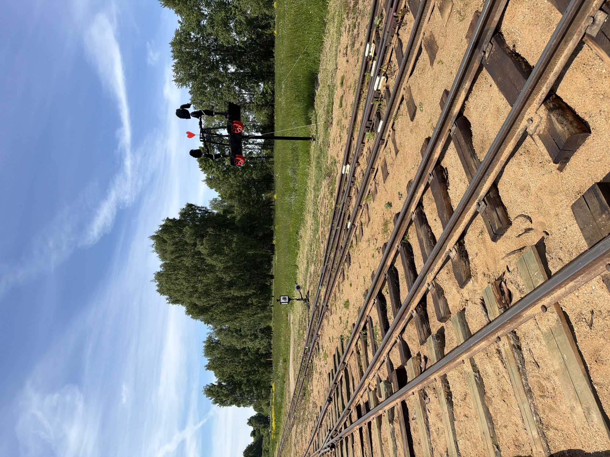 The image displays an outdoor scene under a clear blue sky with sparse, wispy white clouds. In the foreground, multiple sets of narrow-gauge railway tracks are visible, running from the lower left to the center-right. The tracks consist of dark, weathered metal rails secured to light-colored wooden sleepers, which are partially buried in a sandy, light brown trackbed. Patches of green vegetation and small weeds grow between the sleepers and along the tracks.
In the midground, a vibrant green field with scattered yellow wildflowers extends behind the tracks. A prominent, tall black pole stands vertically in the field, supporting a decorative structure. This structure features a horizontal beam from which two black, silhouetted human figures are depicted, facing each other. A bright red heart symbol is positioned centrally between the figures. Below the figures, on the horizontal beam, two circular red elements are visible. Thin white lines, possibly guy-wires or ropes, extend diagonally downwards from the structure into the grass. Further to the left along the tracks in the midground, a smaller black pole with a white, box-like apparatus attached is visible.
A dense line of tall, deciduous trees with rich green foliage forms the background, stretching across the horizon. The location is Unknown, Unknown.