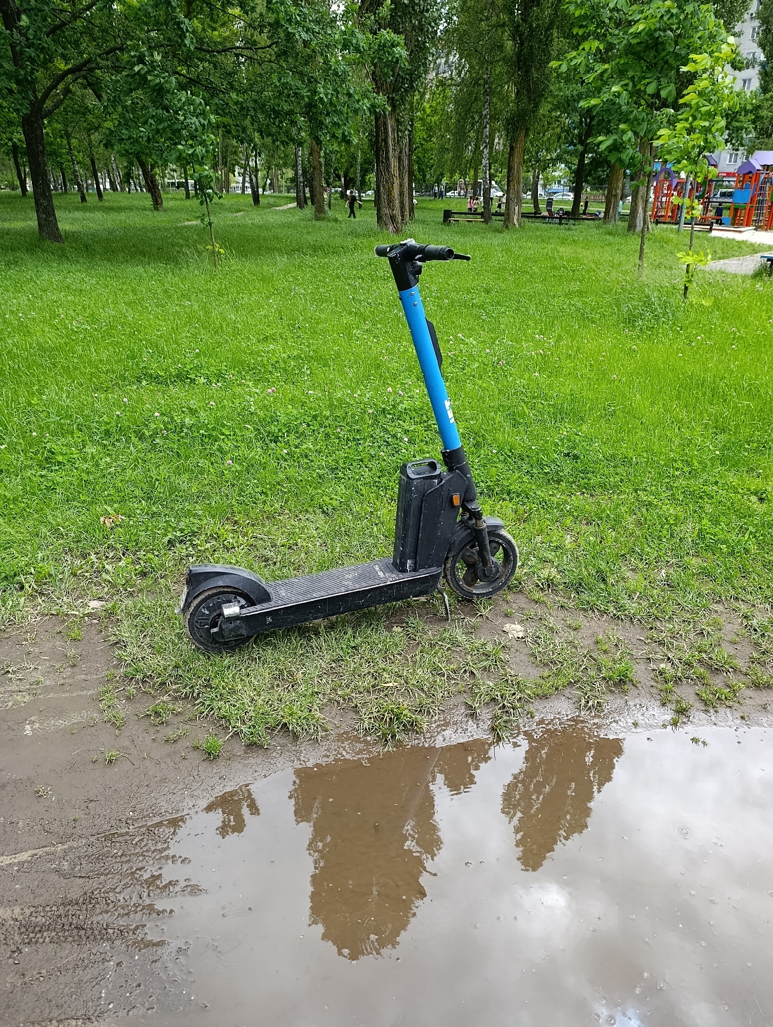 Memory