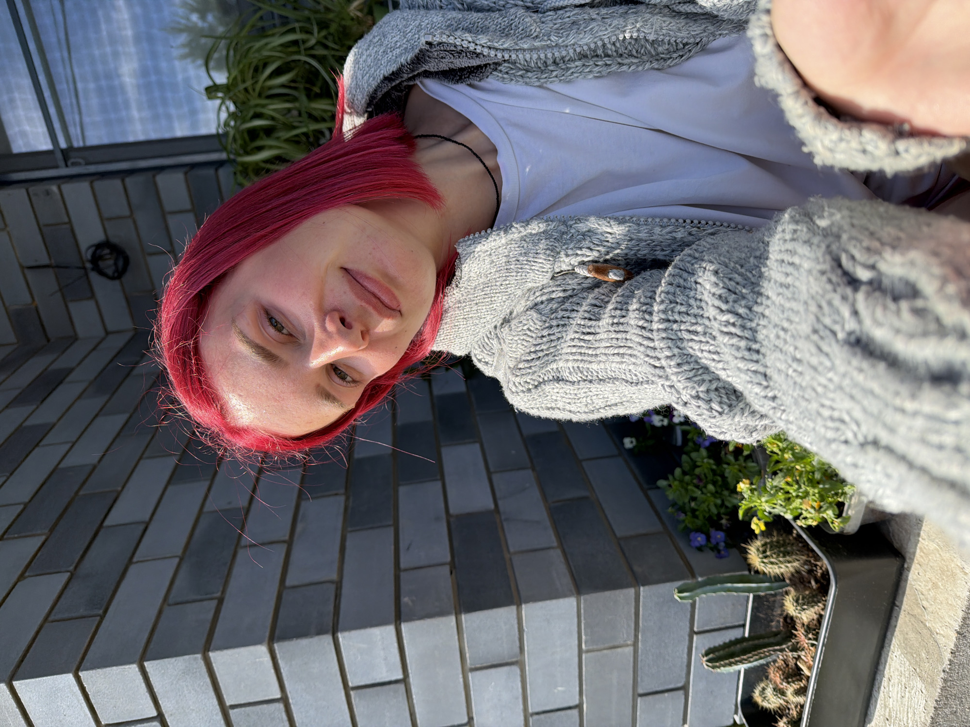A selfie captures a person with bright magenta-red hair and fair skin, looking directly into the camera with a neutral, slightly serene expression. Their light-colored eyes (possibly green or hazel) are clearly visible. They are wearing a light grey, chunky knit cardigan or hooded sweater over a white t-shirt, with a thin black necklace around their neck. The light suggests a sunny daytime setting, with strong illumination highlighting their face and hair from the left.
The background features a modern outdoor setting. To the left and slightly behind the person is a wall constructed from grey rectangular bricks or tiles, varying in shades of light and dark grey, arranged in a stretcher bond pattern. Above the wall, a structure resembling a greenhouse or large window frame with metallic elements is visible. To the right and below the person, a planter containing several cacti and other small green plants with purple flowers is present. Further back, a long-leafed green plant, possibly a spider plant, adds to the greenery. The ground appears to be paved with similar grey bricks. The image conveys an outdoor scene in Chaikovsky, Russia, characterized by clear weather and abundant natural light. There is no visible text.