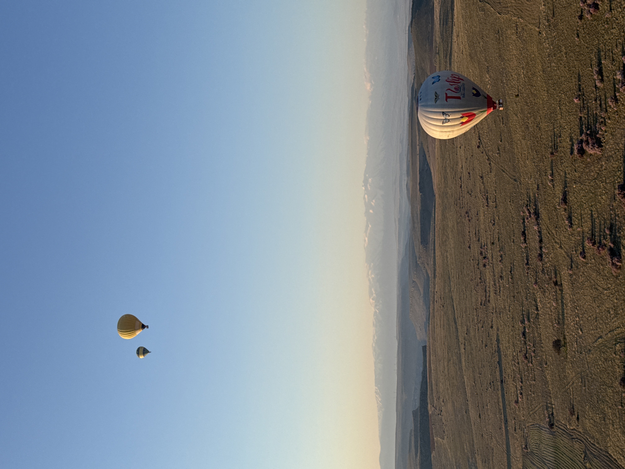 The image captures an aerial view of a vast, open landscape during what appears to be early morning or late afternoon, likely sunrise, given the warm, low light. The scene is dominated by a clear, gradient blue sky that transitions to a lighter, hazy hue near the horizon.
In the mid-ground, a large, white hot air balloon is prominently featured, gently drifting above the terrain. It is illuminated by the golden sunlight, creating a soft glow on its surface. The balloon has "T-Lip" written on it in red, stylized script, with a red tulip design forming part of the 'T'. Below this, the word "BALLOONS" is visible. Several blue and red butterfly graphics also adorn the balloon's surface.
Below the balloons, the ground stretches out, covered in what looks like dry, golden-brown grass or sparse vegetation, possibly fields or steppes. Long shadows are cast across the undulating terrain, indicating the low angle of the sun. Scattered darker bushes or trees dot the landscape.
In the far distance, along the horizon, hazy mountain ranges or hills are visible, blending softly into the sky. To the far left of the frame, high in the sky, two smaller hot air balloons are seen, appearing as dark silhouettes against the bright sky, further emphasizing the activity of hot air ballooning.
The overall impression is one of peaceful flight over a serene, expansive natural landscape in Yeşilhisar, Turkey.