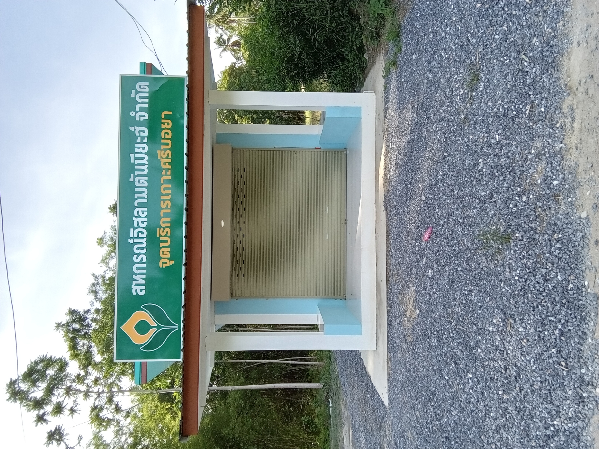 The image captures a single-story service building situated in a rural or semi-rural environment identified as Ko Siboya, Thailand. The structure features a white exterior with light blue accents on the lower wall sections and pillars, supporting a roof with visible brown eaves. The primary entrance is secured by a closed, beige-colored rolling shutter. Above the entrance, a rectangular green sign is mounted, displaying a logo featuring an abstract orange and white design on the left. The sign's text, rendered in white and orange Thai script, reads "สหกรณ์อิสลามตันมิยะห์ จำกัด" (Tan Miyah Islamic Cooperative Limited) on the upper line, and "จุดบริการเกาะศรีบอยา" (Ko Siboya Service Point) on the lower line. The ground immediately in front of the building is covered with grey gravel, with a small pink plastic item visible on the right side of the gravel area. The background features dense green foliage, including tall, slender trees on the left and a mix of bushes and palm trees on the right. The scene is illuminated by daylight under a clear sky. No individuals are present in the image.