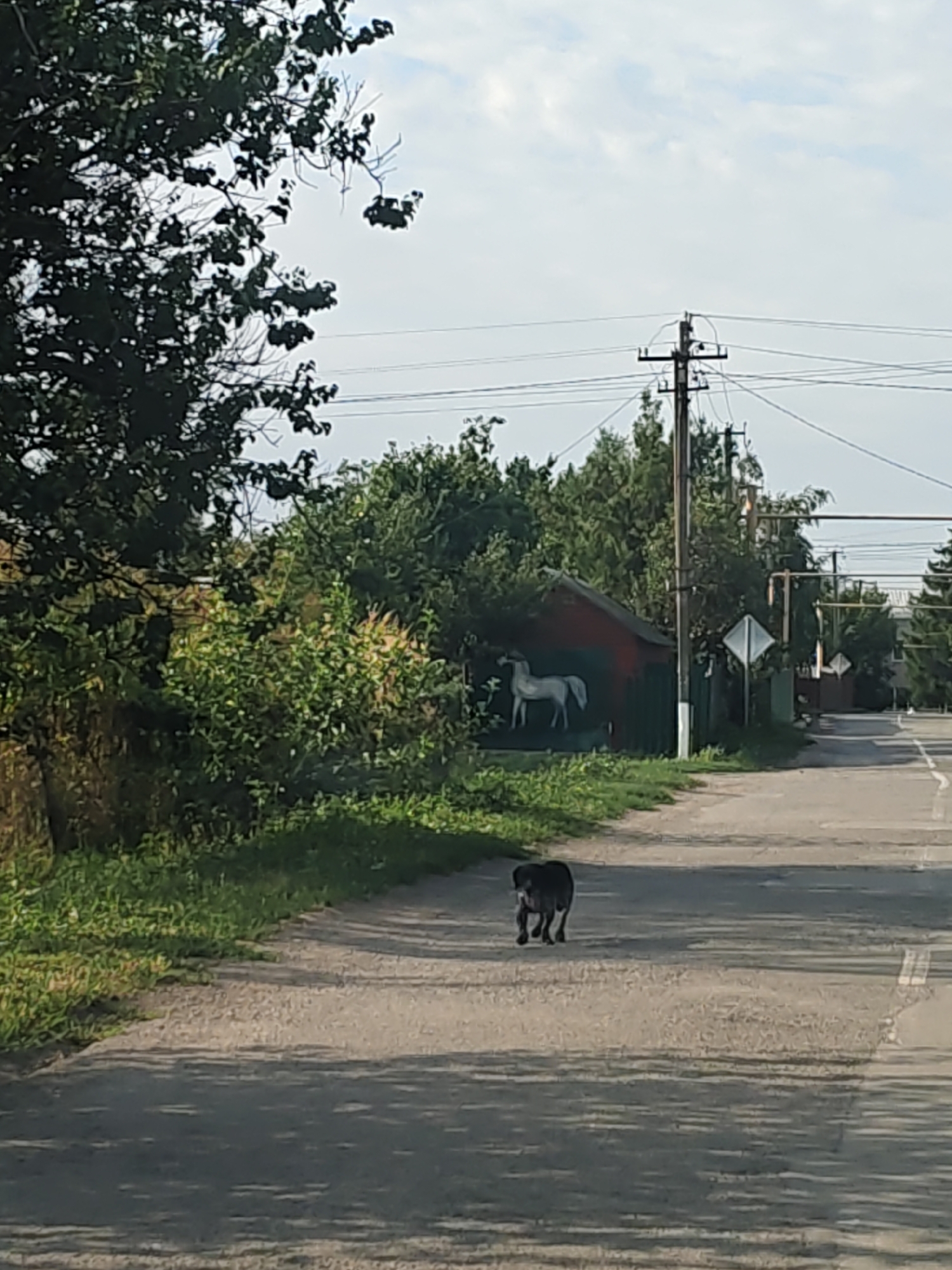 A dark-colored dog is walking on an asphalt road in a rural area. The dog is facing away from the camera and towards the center of the road. The road appears to be a two-lane road with white markings. To the left of the road, there is a grassy area with a stone wall and dense green foliage. Further back, on the left side, there is a red-painted structure with a white silhouette of a horse painted on its side. The background is filled with trees and a utility pole with multiple wires. The sky is partly cloudy. The image was taken in Nizhnedonskoy, Russia.