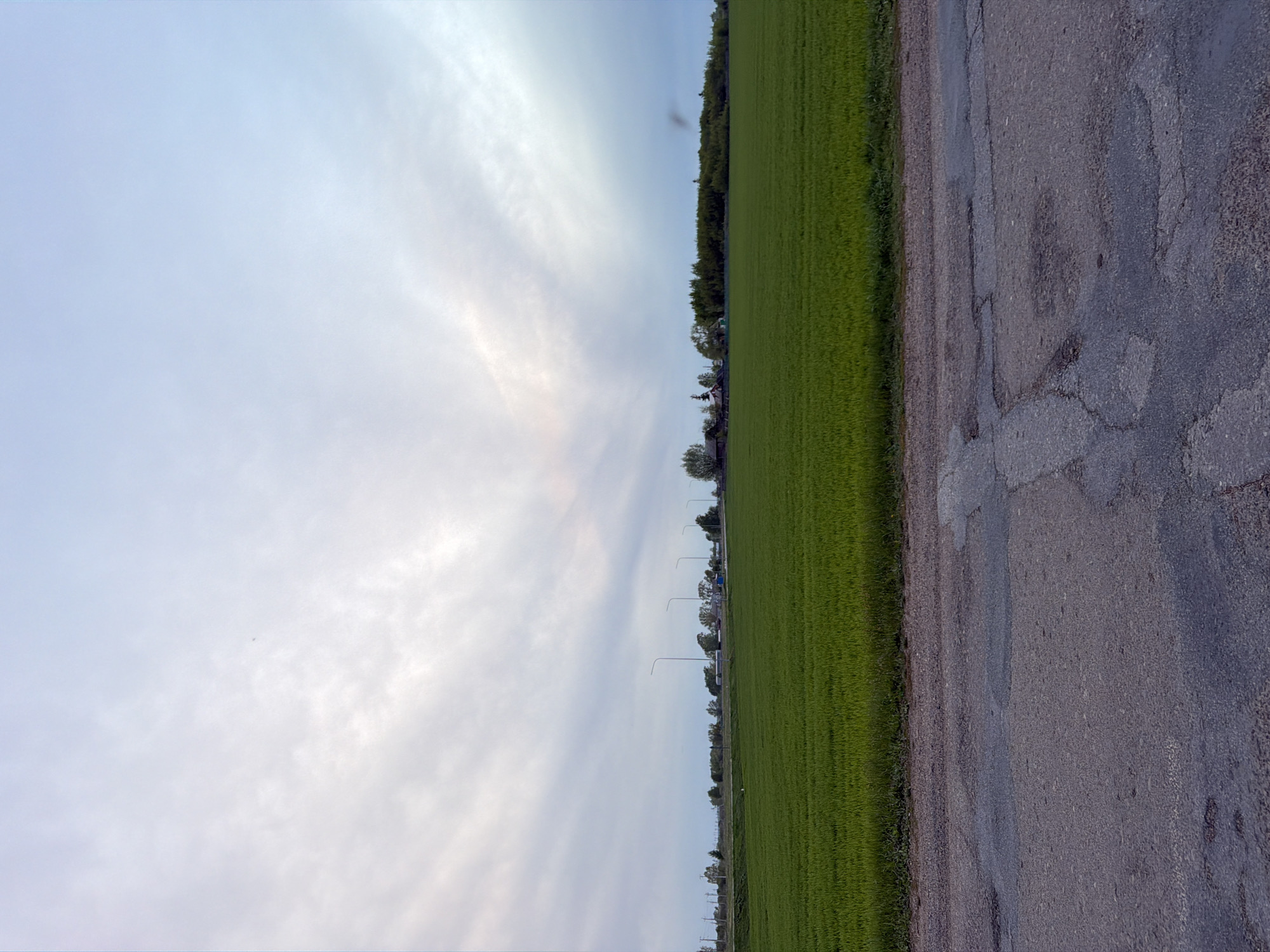 The image shows a roadside scene. On the right is a paved road with noticeable cracks and patches. Adjacent to the road is a long, green field, potentially a lawn or agricultural land. A line of trees and streetlights is visible along the edge of the field. The sky occupies the left half of the image, featuring a light blue gradient with streaks of clouds. The image appears to be taken from a ground-level perspective. The image depicts a place in the vicinity of the city of Azyakul', Russia, but lacks specific geographical information to pinpoint a precise location.