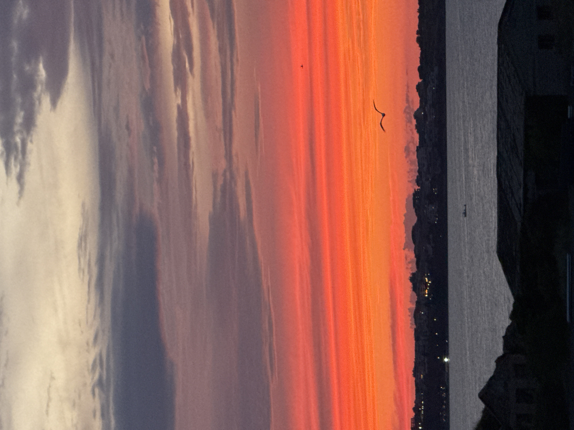 The image depicts a dramatic sunset over the sea in Sozopol, Bulgaria. The sky is ablaze with vibrant hues of orange and red, transitioning to softer pinks and purples, interspersed with streaks of grey clouds. The sun is low on the horizon, casting a warm glow across the scene.
In the foreground, a dark silhouette of buildings or structures occupies the right side of the frame, suggesting an urban or coastal environment. A body of water, likely the sea, stretches across the middle ground, reflecting the colorful sky with a muted, silvery sheen. Tiny lights are visible along the coastline, hinting at the presence of a town or city.
Two birds are captured in flight against the colorful sky. One is a small, distant silhouette, while the other is larger and more defined, with outstretched wings, appearing to be soaring or gliding.
The overall mood is serene and awe-inspiring, characteristic of a beautiful sunset. The time of day is clearly dusk, as indicated by the low sun and the darkening of the landscape. The location cues, combined with the visual elements, place the scene in Sozopol, Bulgaria, a coastal town known for its picturesque sunsets. No text is visible in the image.