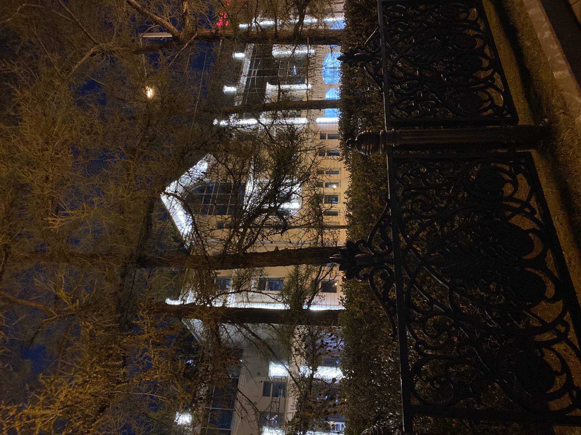 At night, a view from the street in Yekaterinburg, Russia is obscured by trees and a decorative wrought iron fence. A tall building stands in the background with lit windows. The dark sky and branches of bare trees fill the left side of the frame. The foreground features a dark, ornate iron fence, limiting visibility. The scene is illuminated by streetlights, highlighting the architecture and the wrought iron.