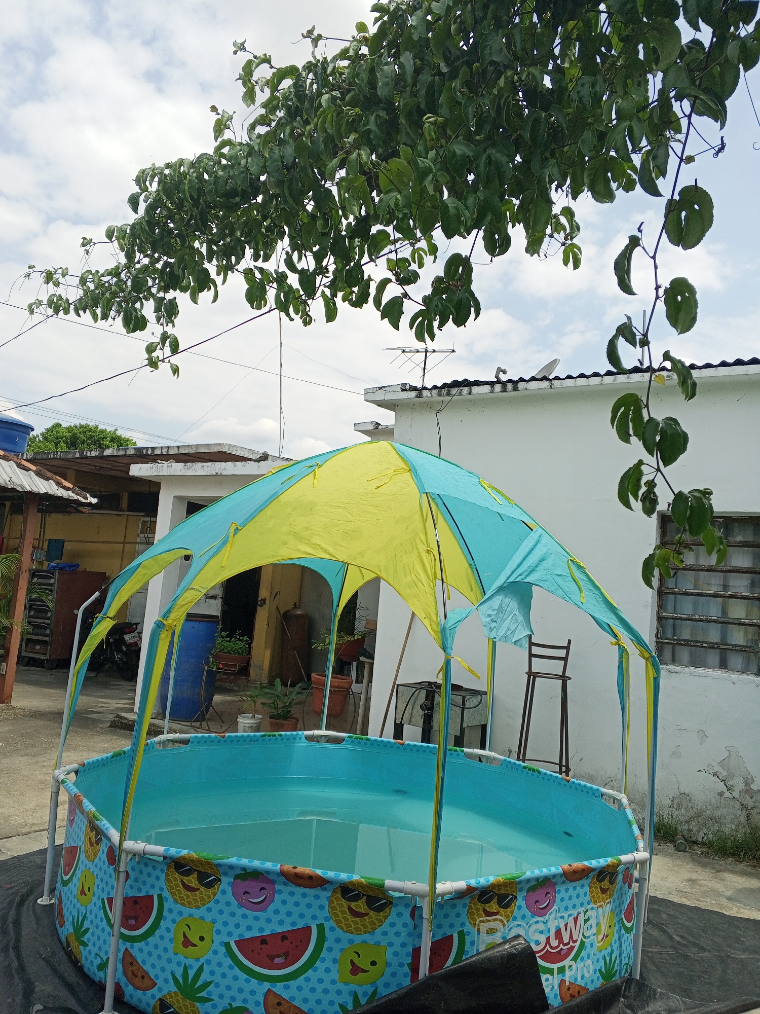 The image depicts a blue and yellow children's pool with a sunshade, filled with water, set on a black tarp in a backyard in Tinaquillo, Venezuela. The pool is decorated with cartoon fruit images. Behind the pool is a white concrete building with a satellite dish and TV antenna on the roof. A passionfruit vine hangs from the top of the frame. Various other buildings, including one with a corrugated metal roof, are visible in the background. A chair and various potted plants are visible behind the pool.