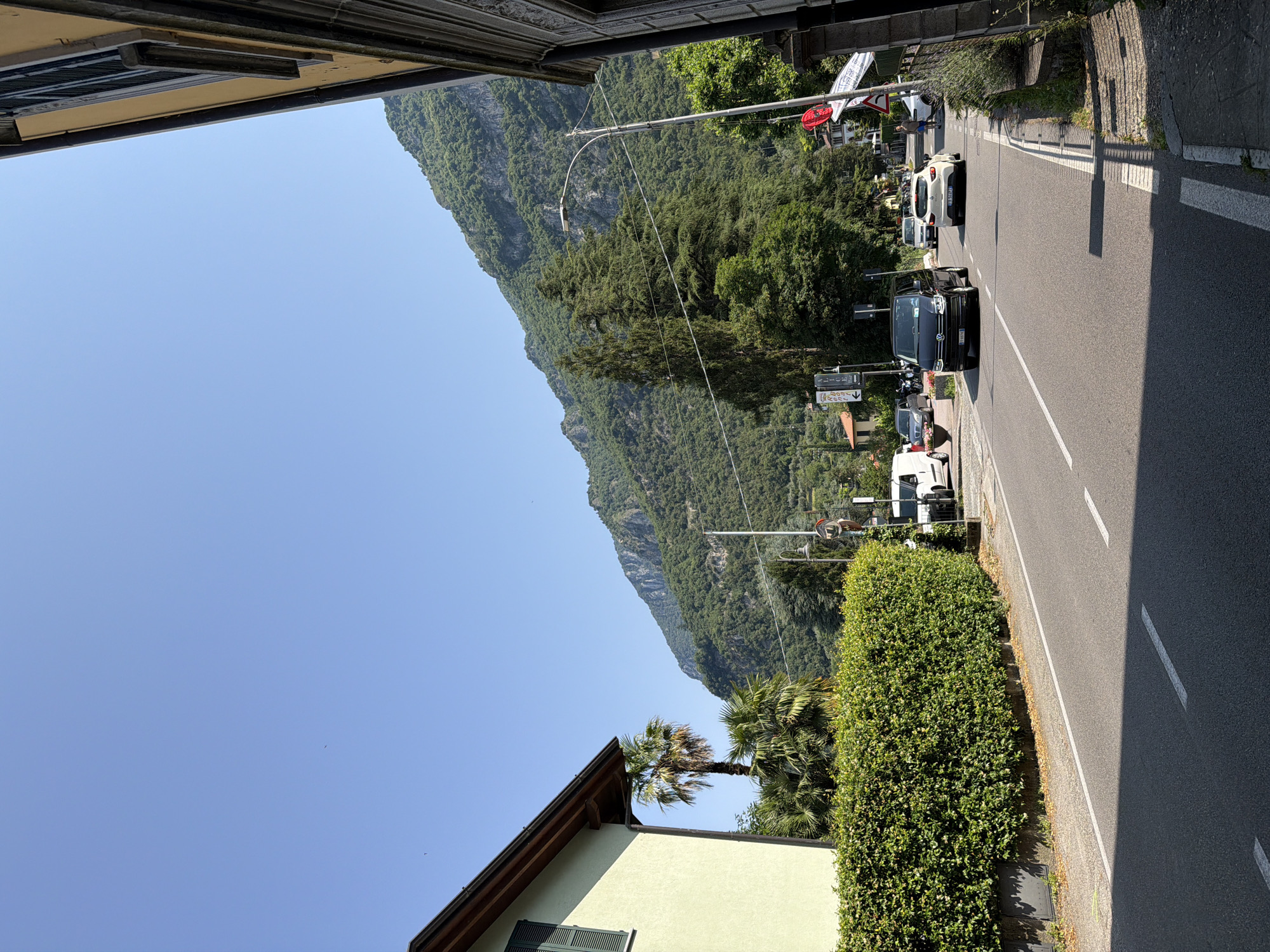 A sunlit, clear day in Lierna, Italy, showcases a tree-lined street with a mountain backdrop. On the left, a light green building with a brown roof and dark green shutters sits behind a dense, well-maintained green hedge. A tall palm tree rises above the hedge, partially obscured by a larger palm tree. The street itself has visible white lane markings and is paved with asphalt. Several vehicles are present: a black Volkswagen van, a white compact car, and a white van further down the road. A few people are visible on the sidewalk or near the street. The right side of the image features a portion of a building with yellow facade and dark shutters, casting a shadow onto the street. A street lamp stands near the side of the road. The dominant feature in the background is a large, lush green mountain with rocky outcrops.