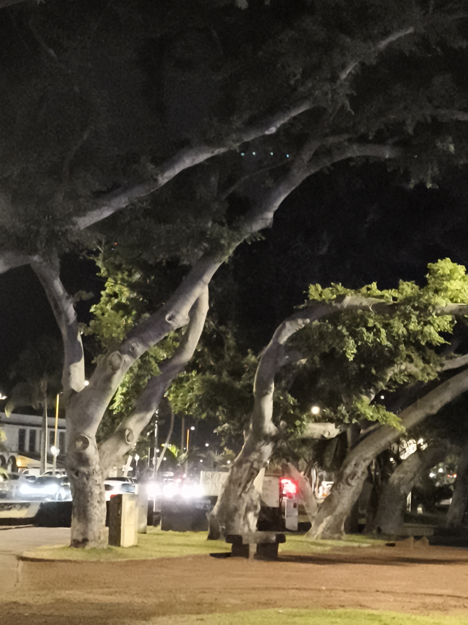 The image depicts a nighttime scene with large trees in the foreground, their branches extending across the frame. In the background, vehicles are visible with their headlights on, suggesting a street or roadway. Buildings are also present in the distance. The ground is covered with grass and a dirt path. There are no people clearly visible in the image. The lighting suggests artificial illumination from streetlights and vehicle headlights. The overall impression is a dimly lit urban environment at night. This scene is consistent with a location in Saint-Denis, France, possibly a park or boulevard lined with trees near a street.