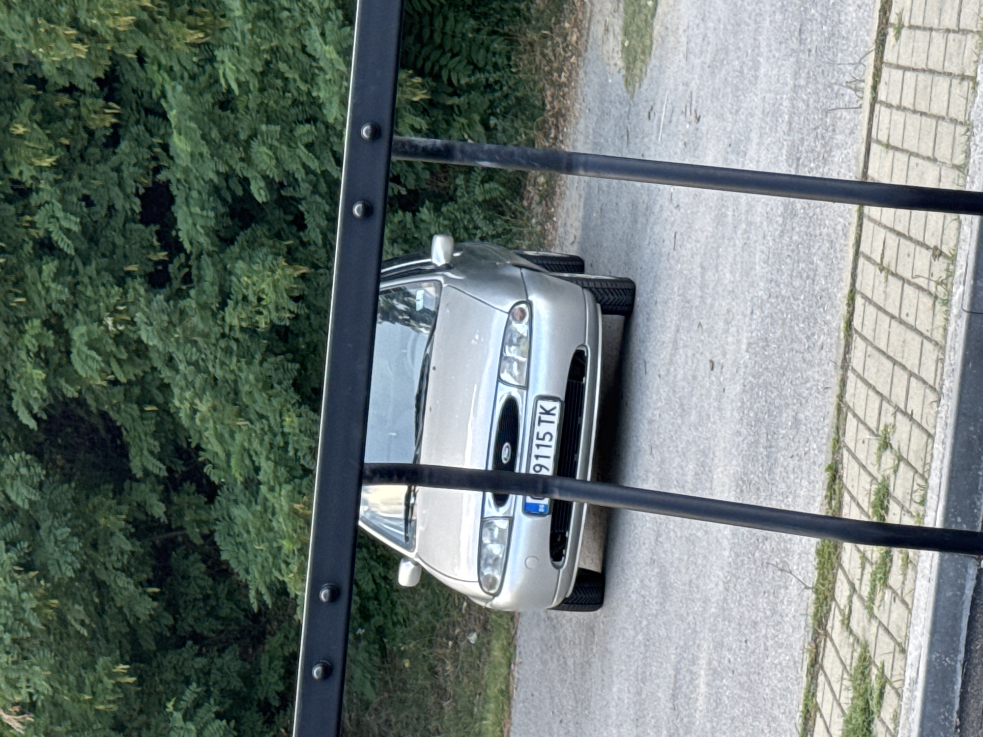 The image shows a silver Ford Focus parked on a paved road next to a line of greenery. The car is positioned at an angle, with its front facing the viewer. The license plate is visible and reads "9115 TK" with a blue EU band on the left. The car appears to be a hatchback model.
The scene is framed by a dark metal railing in the foreground, which partially obstructs the view of the car and the surroundings. Behind the car, there is dense green foliage, suggesting a natural or park-like setting. The road surface is asphalt, and to the right of the road, there is a decorative paved border with grass growing in the gaps. The lighting suggests it is daytime, and the weather appears to be clear. The overall impression is a mundane street scene. No people are visible in the image.