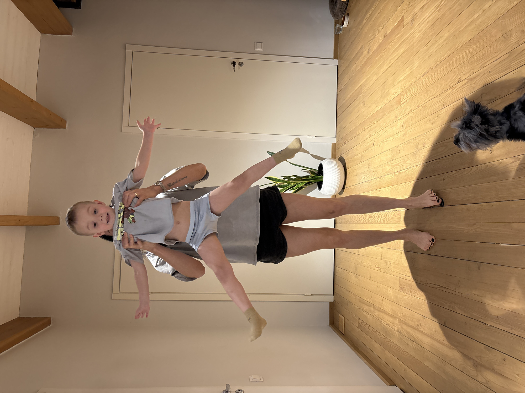A person is holding a young child up in the air inside a room. The person is wearing black shorts and a grey t-shirt. The child is wearing a light grey outfit and one sock. A small, grey dog is nearby on the wooden floor. There is a white door, exposed ceiling beams and a potted plant in the background. The location is most likely an interior space, but there is not enough information to identify it specifically as being in the city of Chaikovsky, Russia.