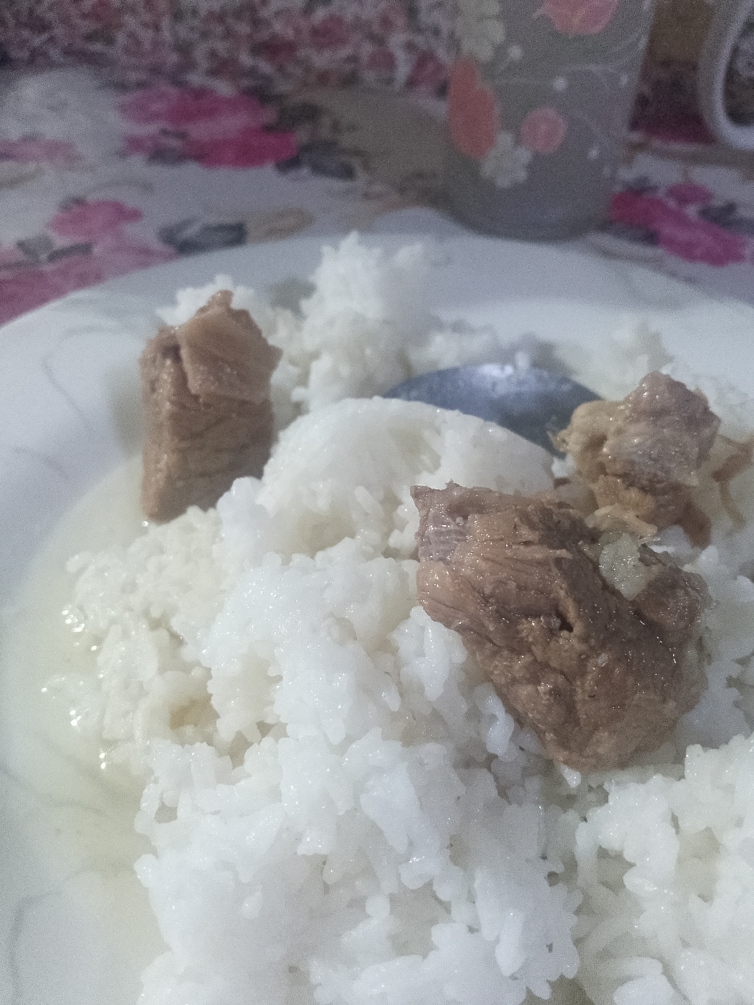 A plate of white rice with pieces of cooked meat sits on a tablecloth with a floral pattern. A spoon rests on the rice. A mug with a floral design is in the background. The location is Davao City, Philippines, as indicated in the prompt.