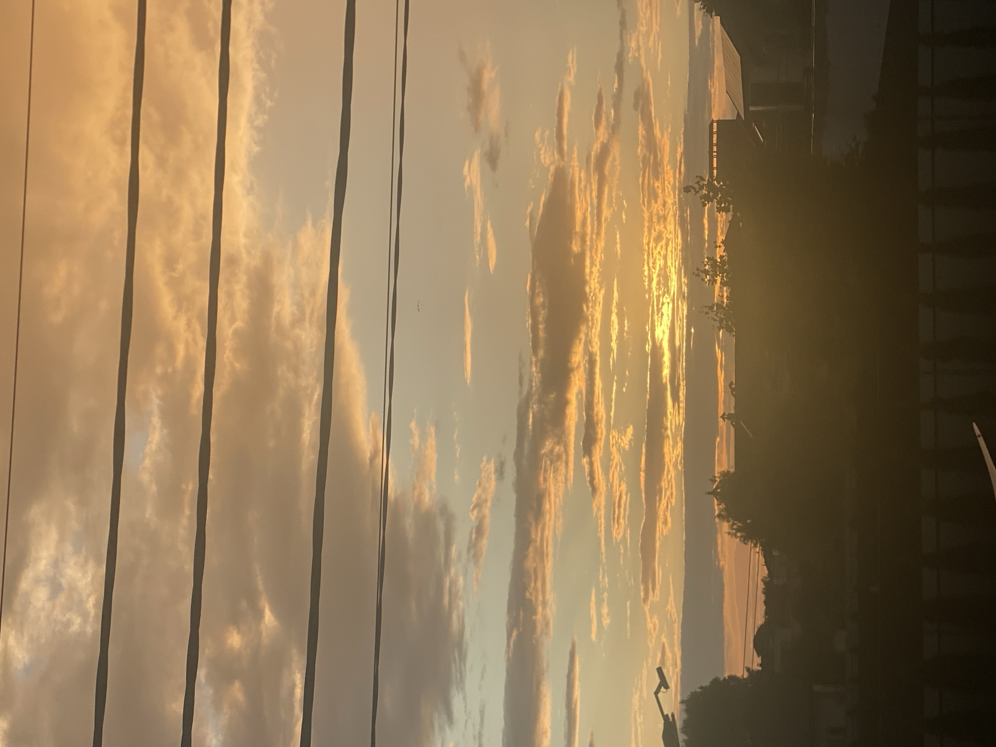 A photograph captures a sunset over the city of Novi Petrivtsi, Ukraine. The sky is filled with clouds illuminated by the setting sun, casting a warm, golden-orange hue. Four horizontal power lines traverse the upper portion of the image. Silhouetted against the vibrant sky are trees and buildings, their details obscured by the low light. In the foreground, a dark fence is visible, adding a stark contrast to the colorful sky. The overall scene depicts a tranquil evening in a semi-urban landscape.