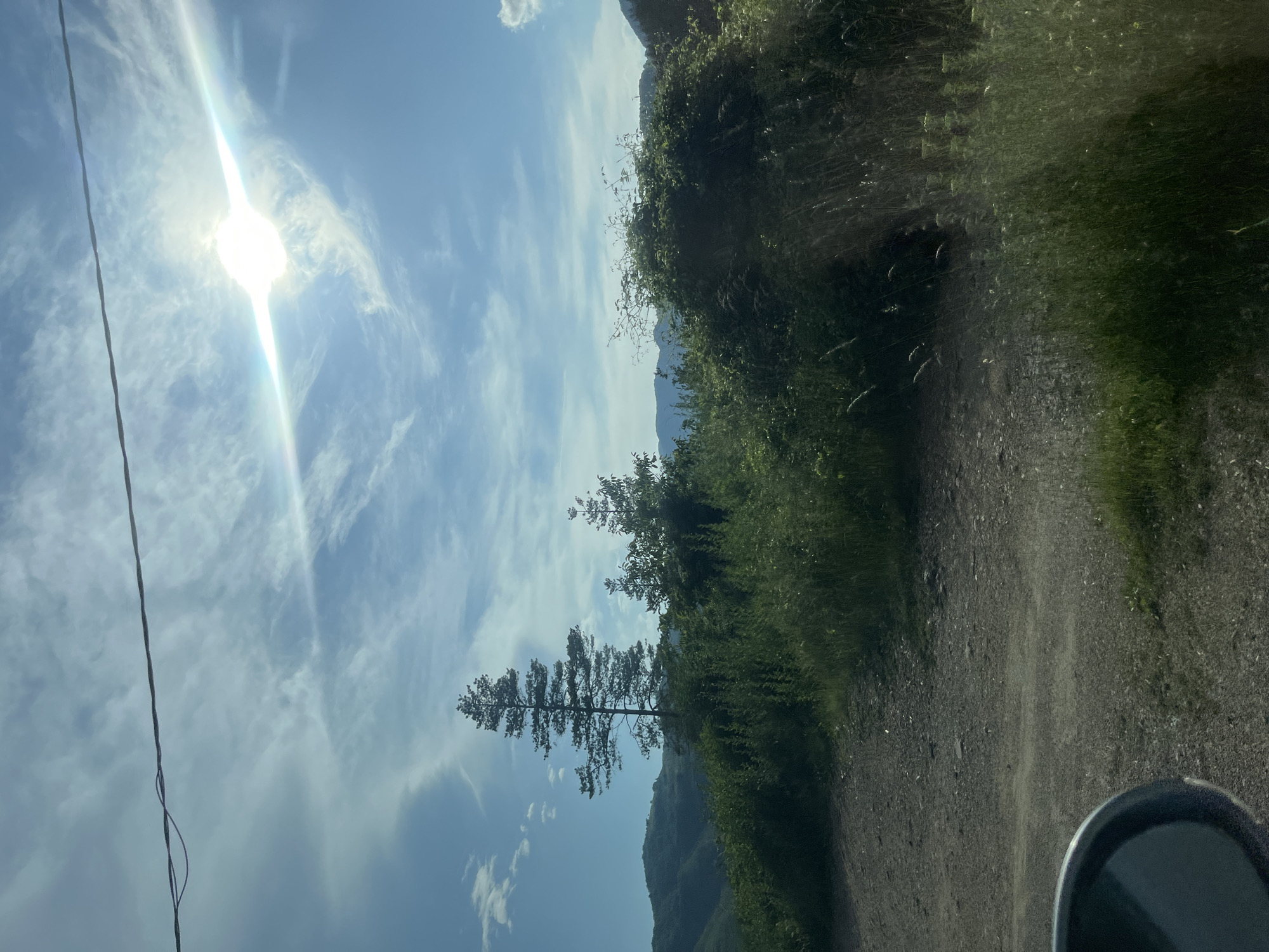 The image depicts a sunlit rural landscape. A dirt road occupies the foreground, leading towards a dense growth of green foliage and trees. The terrain is hilly, with more vegetation and distant, softly focused hills visible under a bright blue sky. Wispy clouds are scattered across the sky, and the sun is high and glaring, creating a lens flare that extends across the upper portion of the image. A single power line stretches horizontally across the sky. The scene appears to be in the vicinity of Startsevo, Bulgaria, with the natural environment being the primary subject. No people or distinct actions are visible.