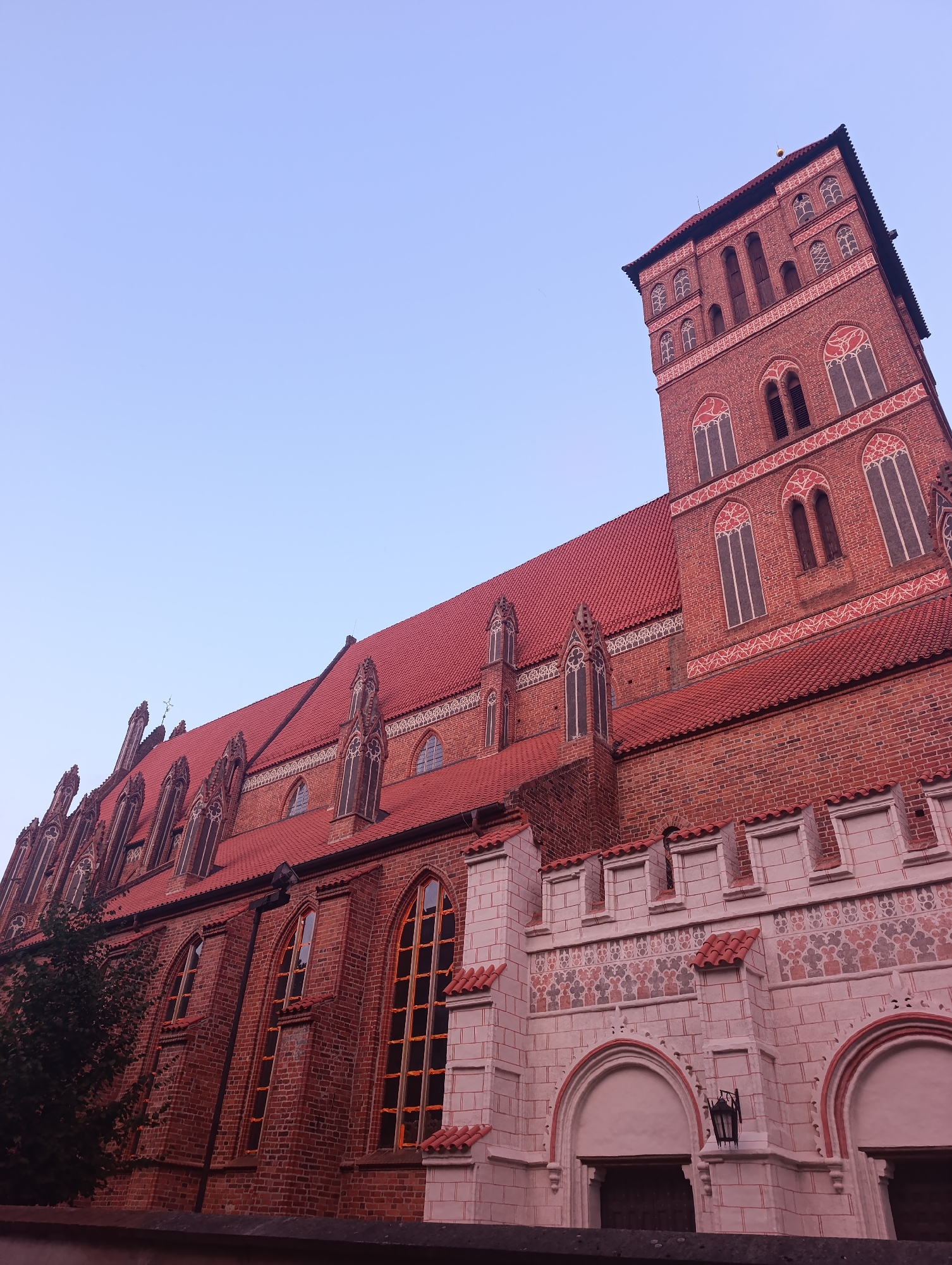 The image shows a view of St. John's Archcathedral in Toruń, Poland, on a clear day. The sky is a pale blue, transitioning to a lighter shade near the horizon. The cathedral is constructed primarily of red brick, with a prominent tall tower on the right side of the frame and a long, sloping red-tiled roof extending to the left. The architecture features Gothic elements, including pointed arches on the windows and decorative white stonework with red accents along the base of the tower and the lower sections of the cathedral. The windows are tall and narrow, some with intricate tracery. A large tree with dark green foliage is visible in the lower left corner, partially obscuring the side of the building. The foreground shows a dark wall or railing. The perspective is from a low angle, looking upwards at the cathedral.
