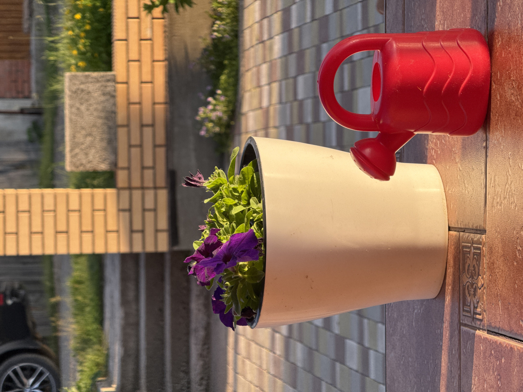 The image depicts a close-up view of a cream-colored flower pot containing purple petunias and a small red watering can. The flower pot is situated on a tiled surface. In the background, there is a brick structure and some greenery. The lighting suggests it is either early morning or late afternoon, casting warm shadows. The overall scene appears to be an outdoor setting, possibly a garden or patio. There are no people visible in the image, and no actions are being performed. The location in Minusinsk, Russia, cannot be determined from the visual information provided.